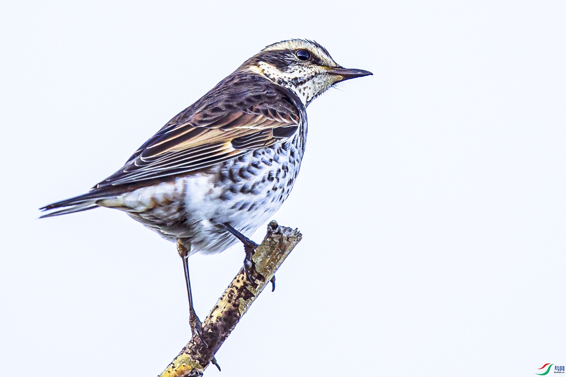 _90I1976 ���� 2.jpg