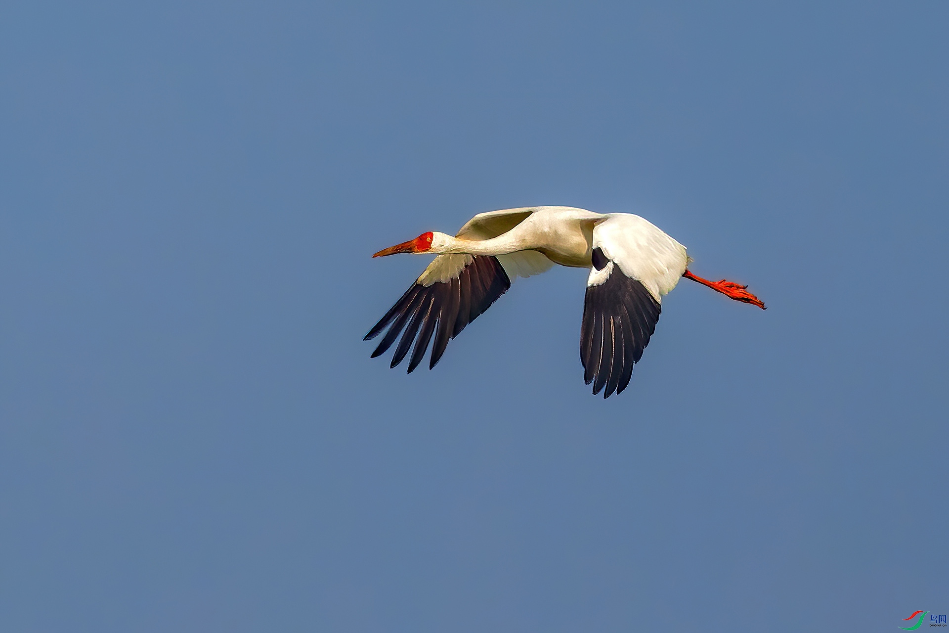 _MG_5856-CR2_(1920).jpg