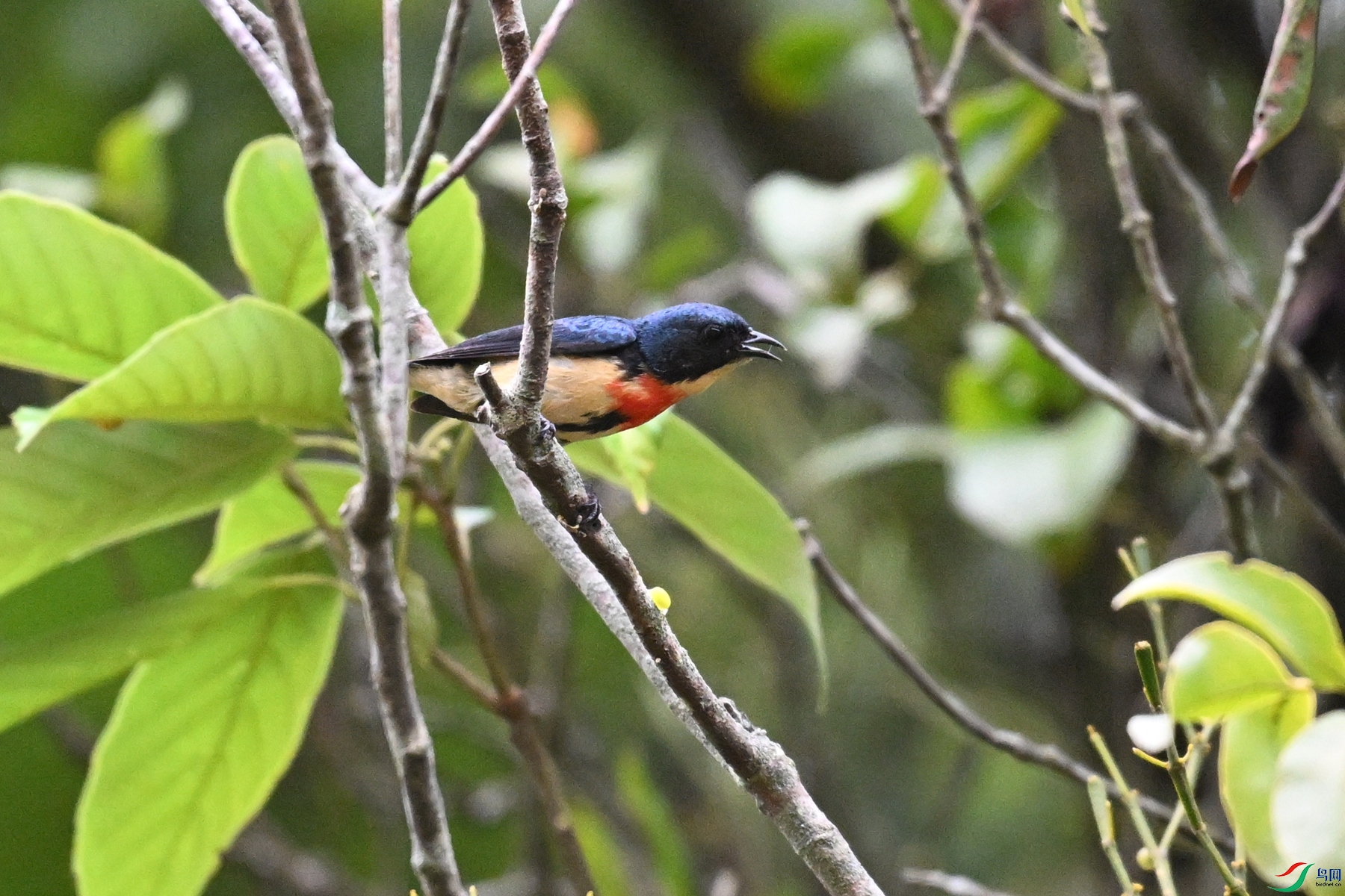 DSC_9795.JPG