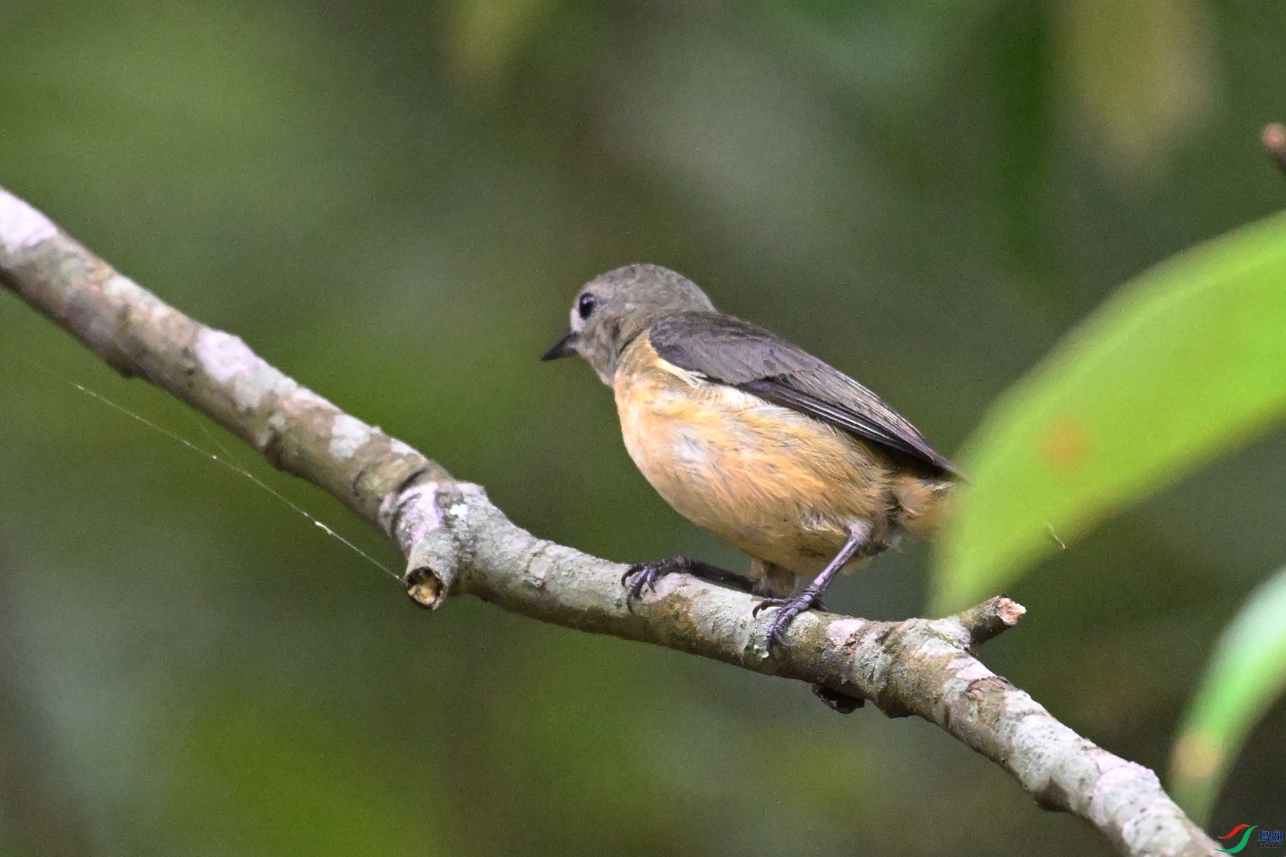 DSC_9834.JPG