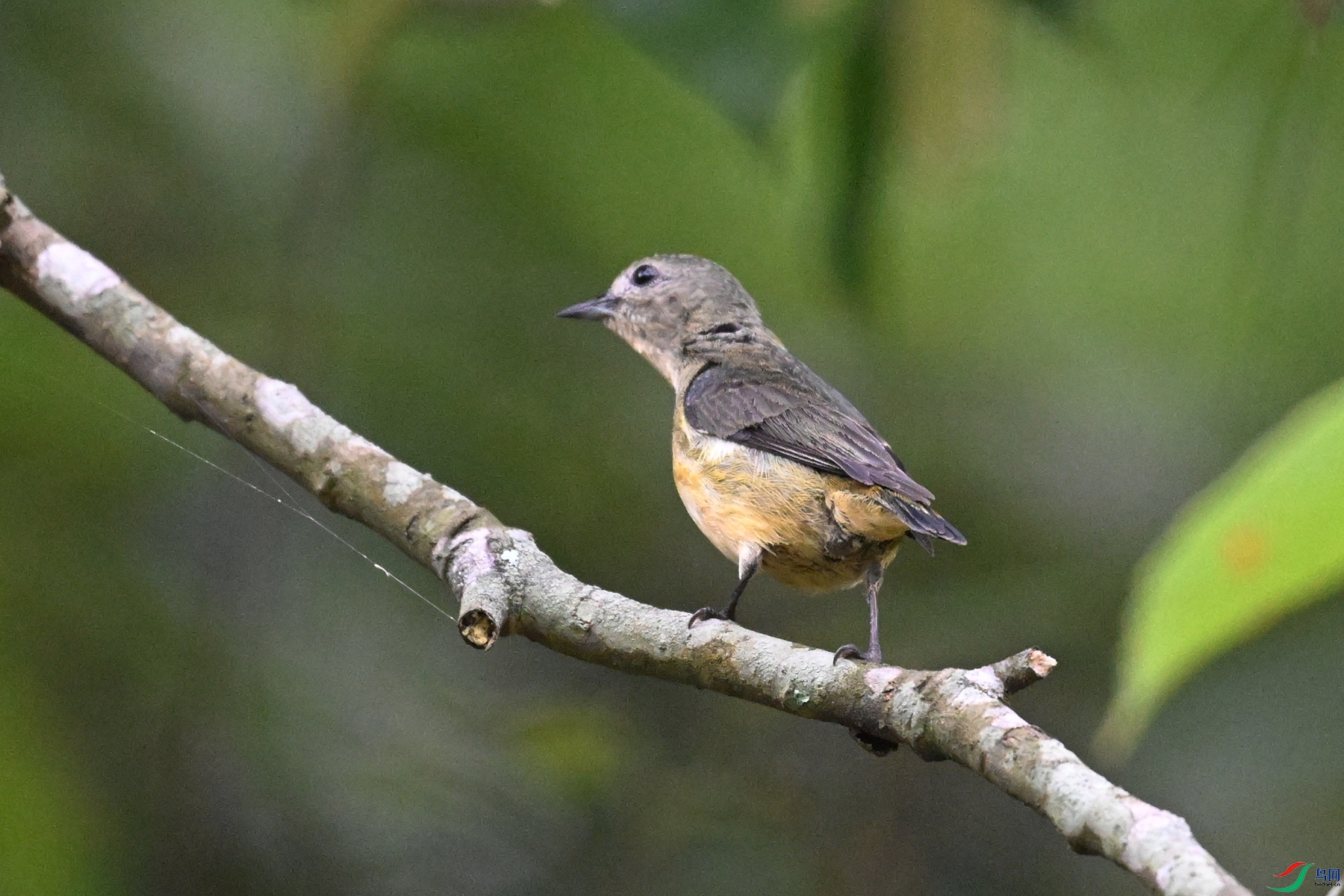 DSC_9865.JPG