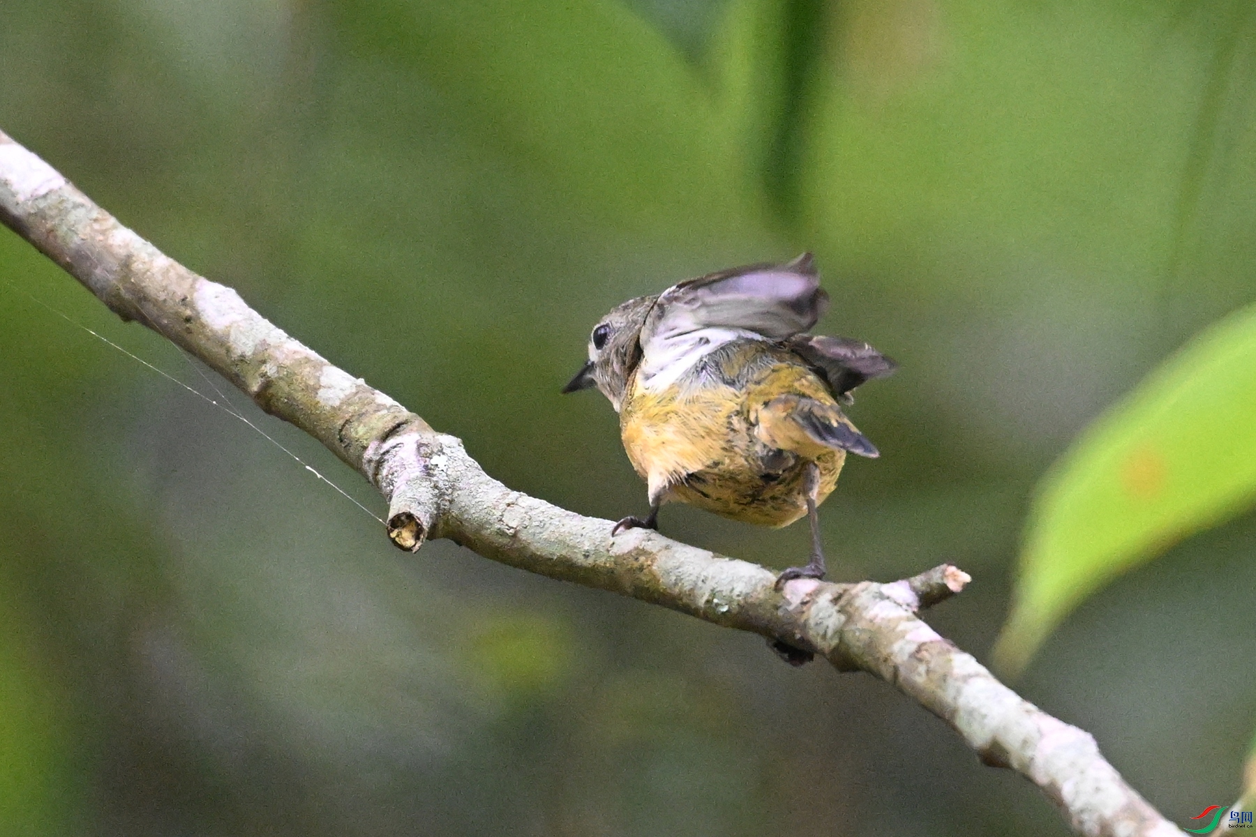 DSC_9894.JPG