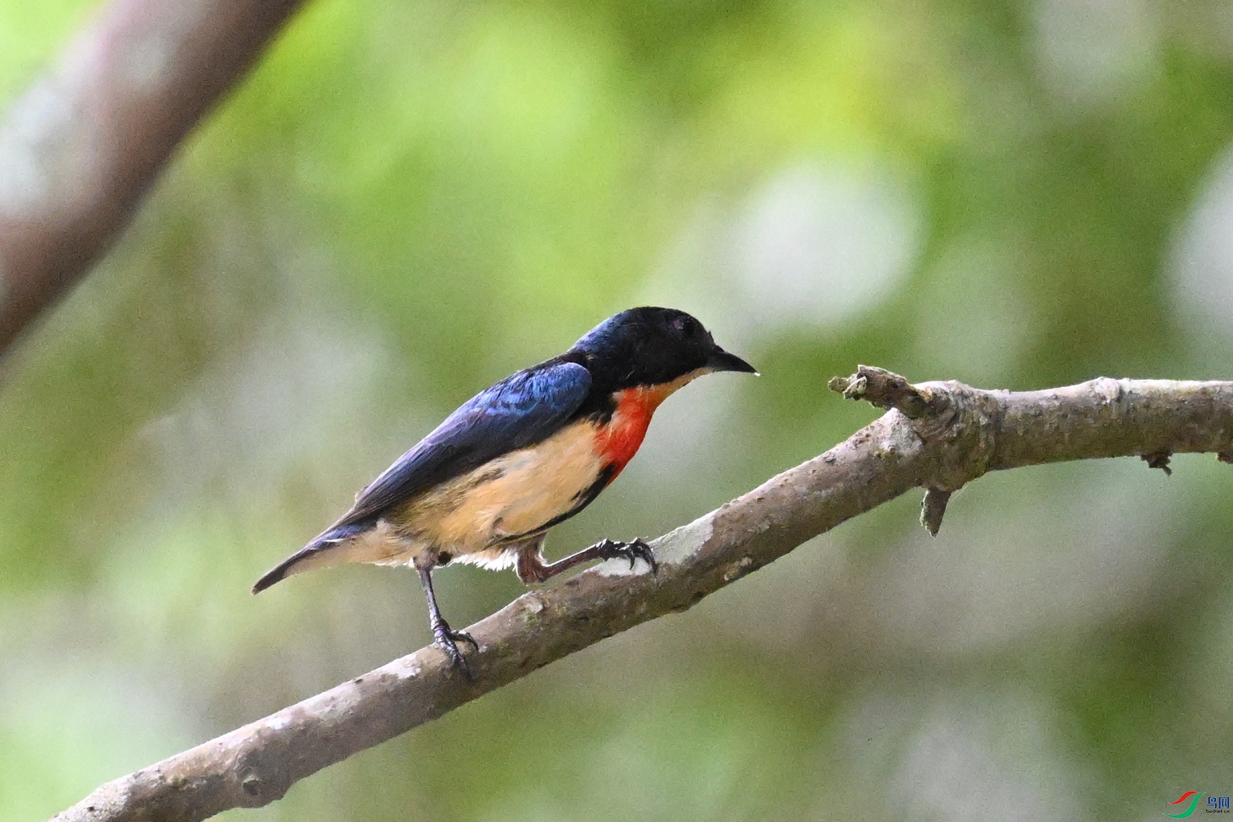 DSC_9827.JPG
