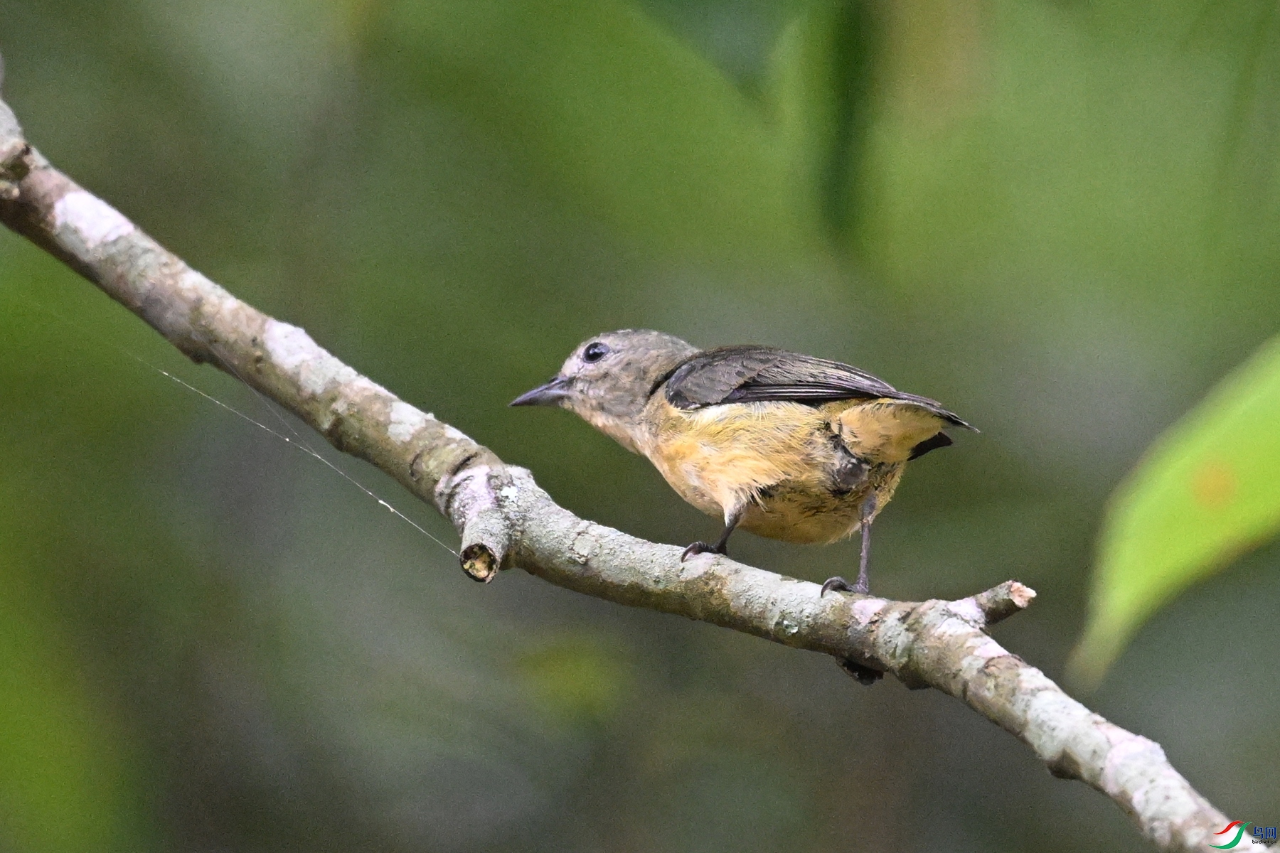 DSC_9863.JPG