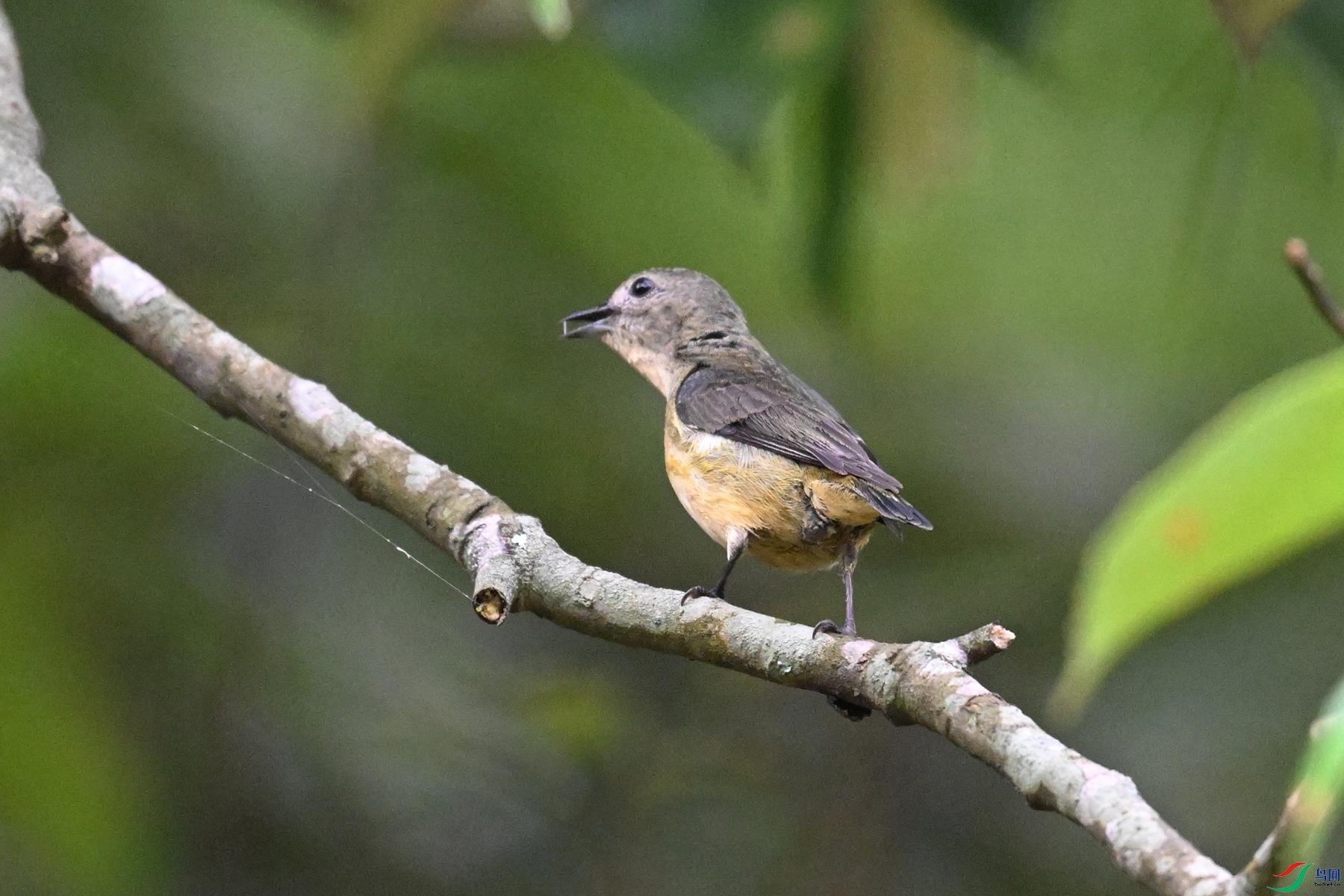 DSC_9866.JPG