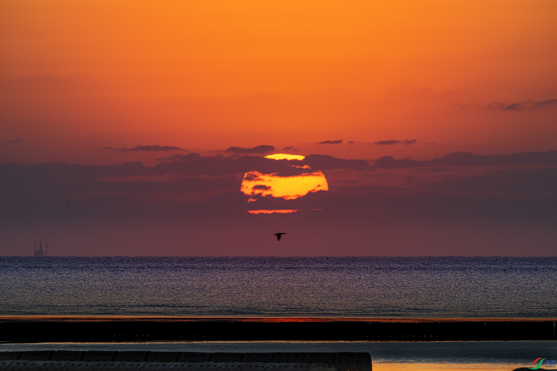 DSC_0438.jpg