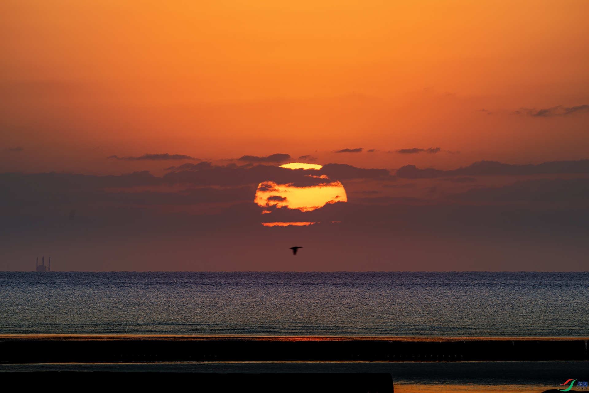 DSC_0438-����ǿ-NR ����.jpg