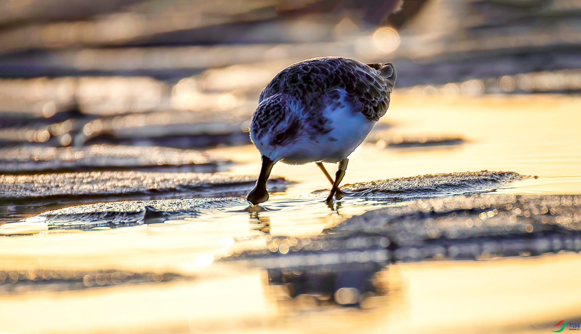 407A3467-----22  .jpg