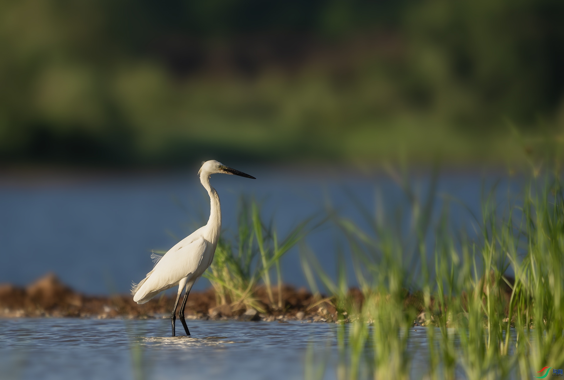 DSC04324-����ǿ-NR ����.jpg