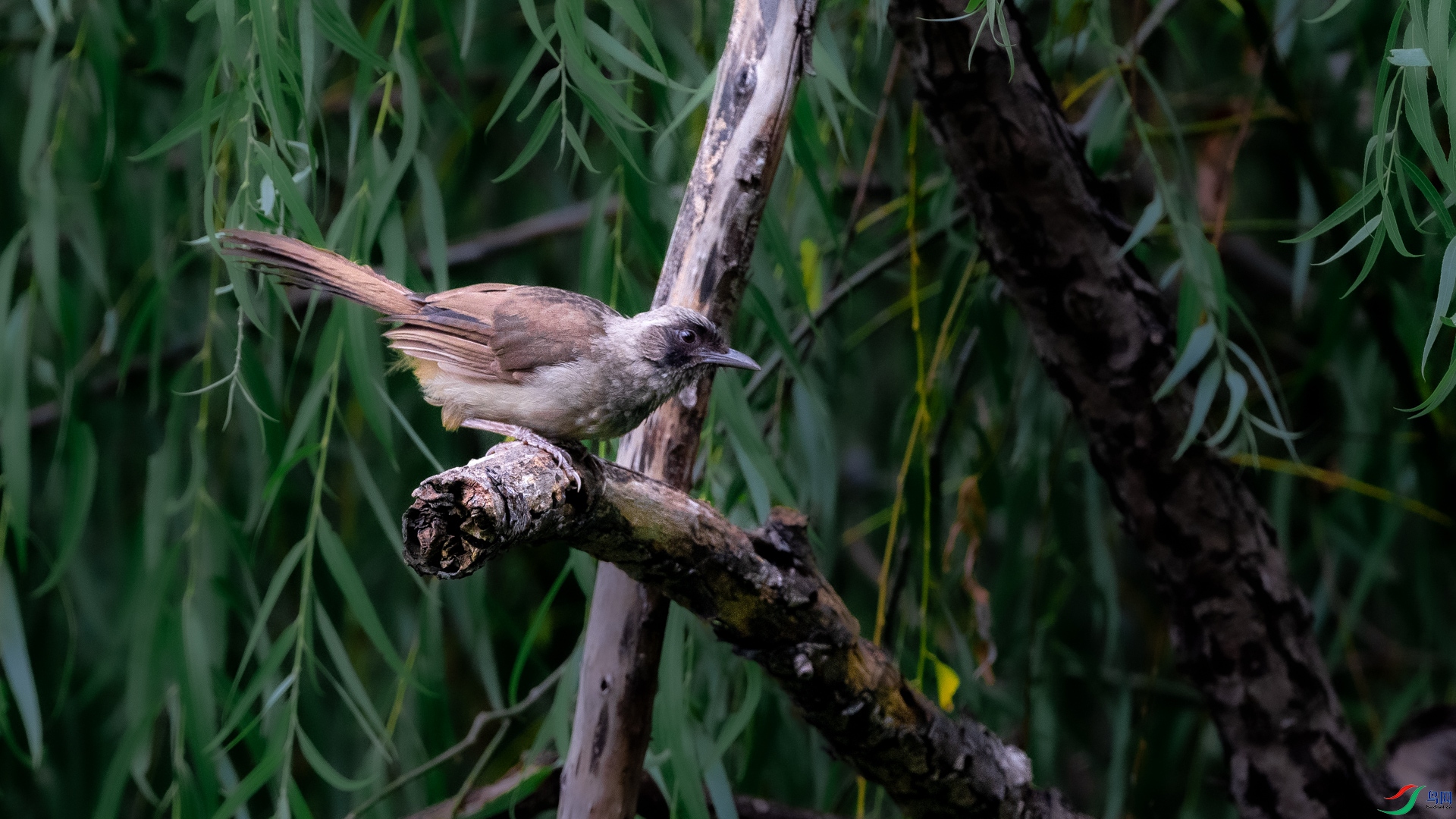 DSC_6904.jpg