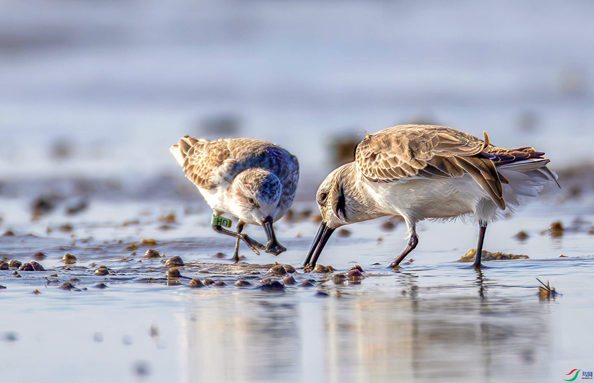 407A6002----33  .jpg