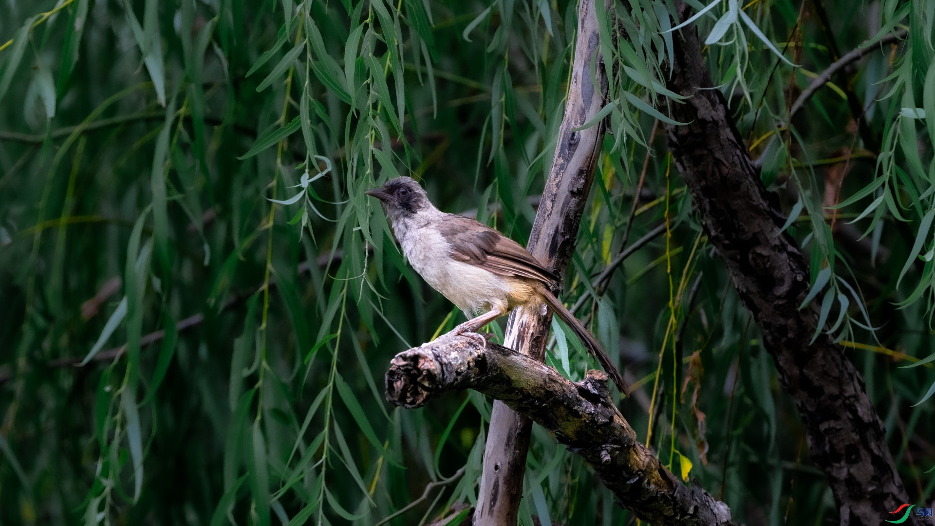 DSC_6903.jpg