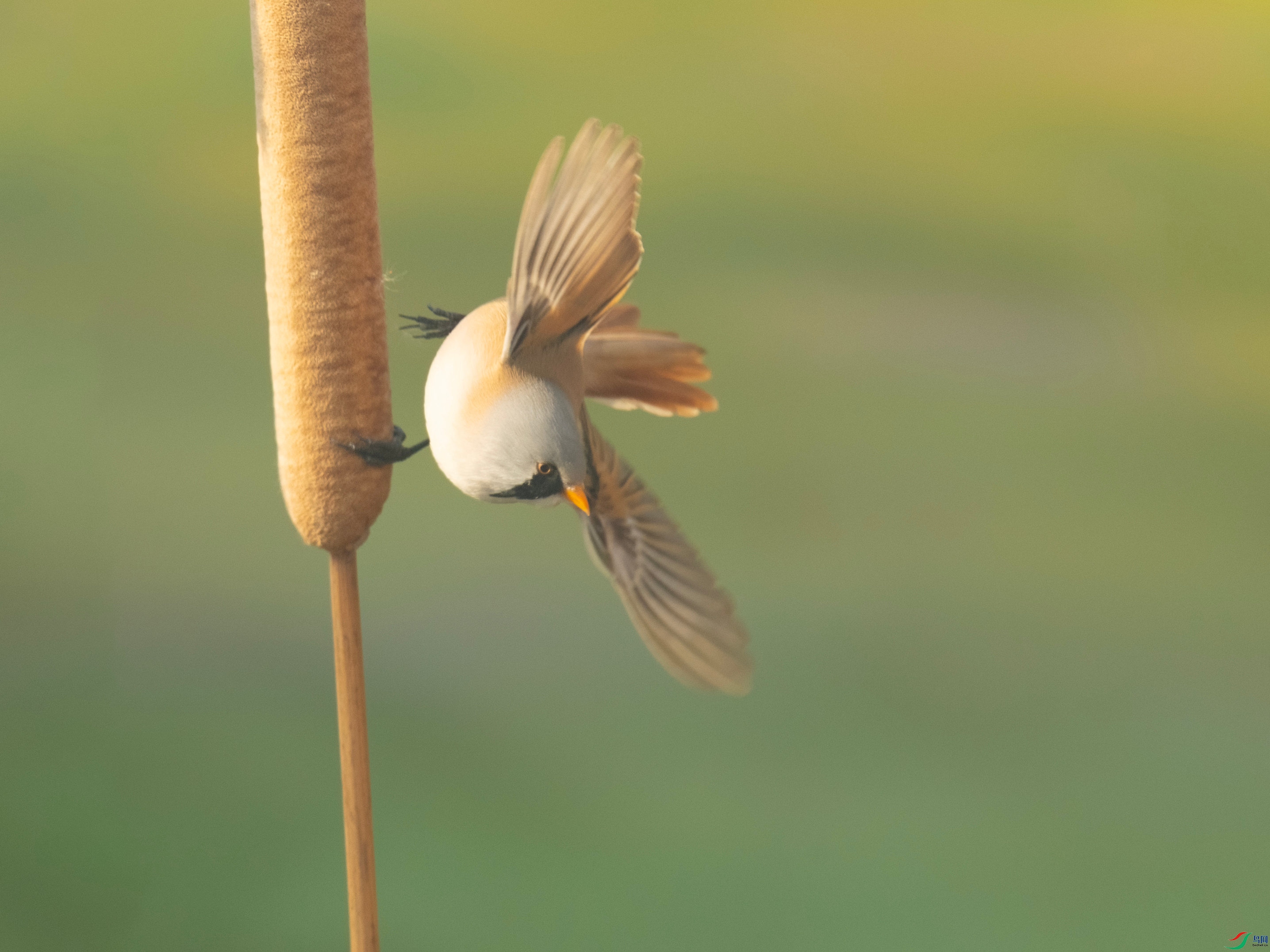 ����ȸ (6).jpg