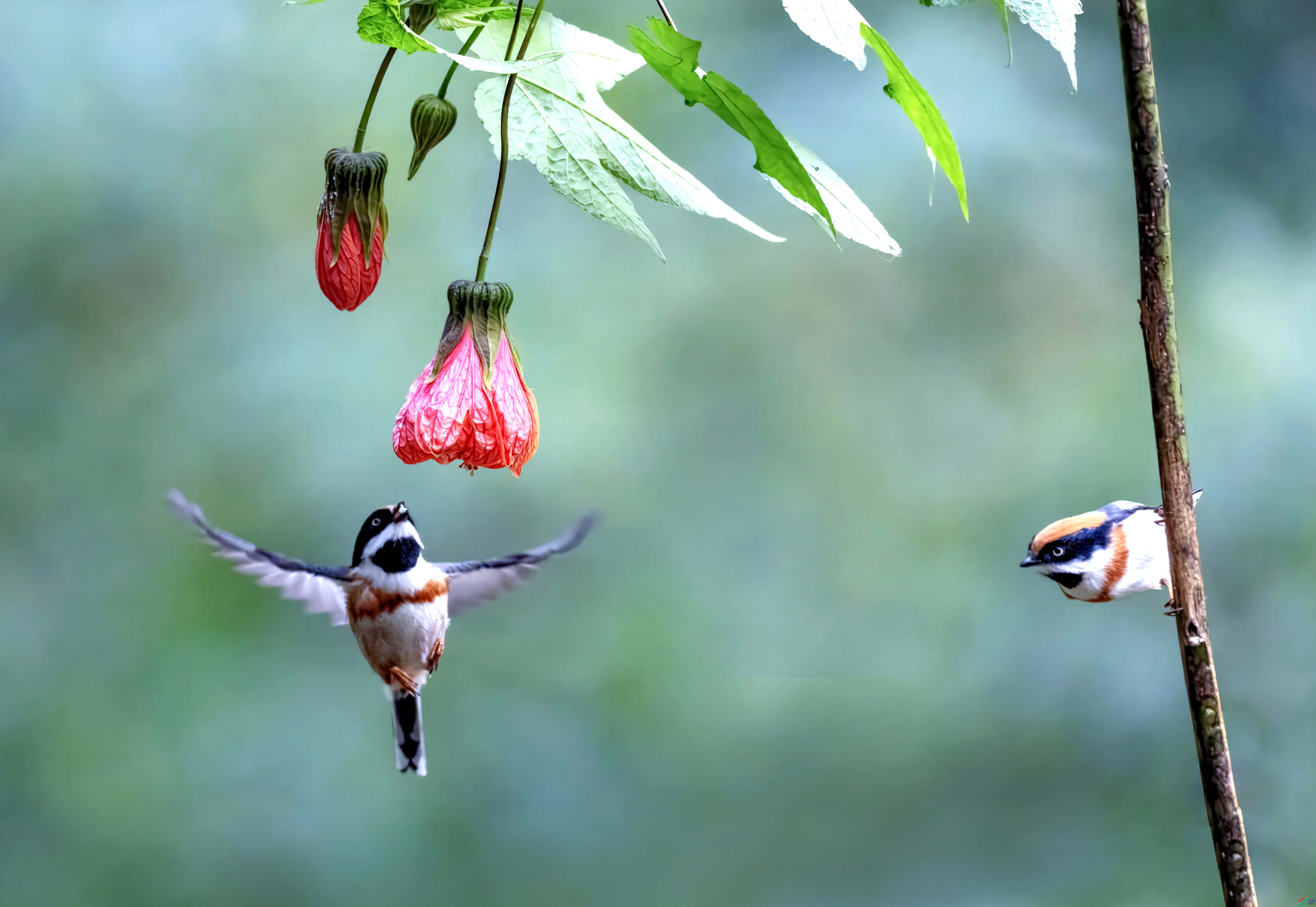 5N9A7974 ���� 3.jpg