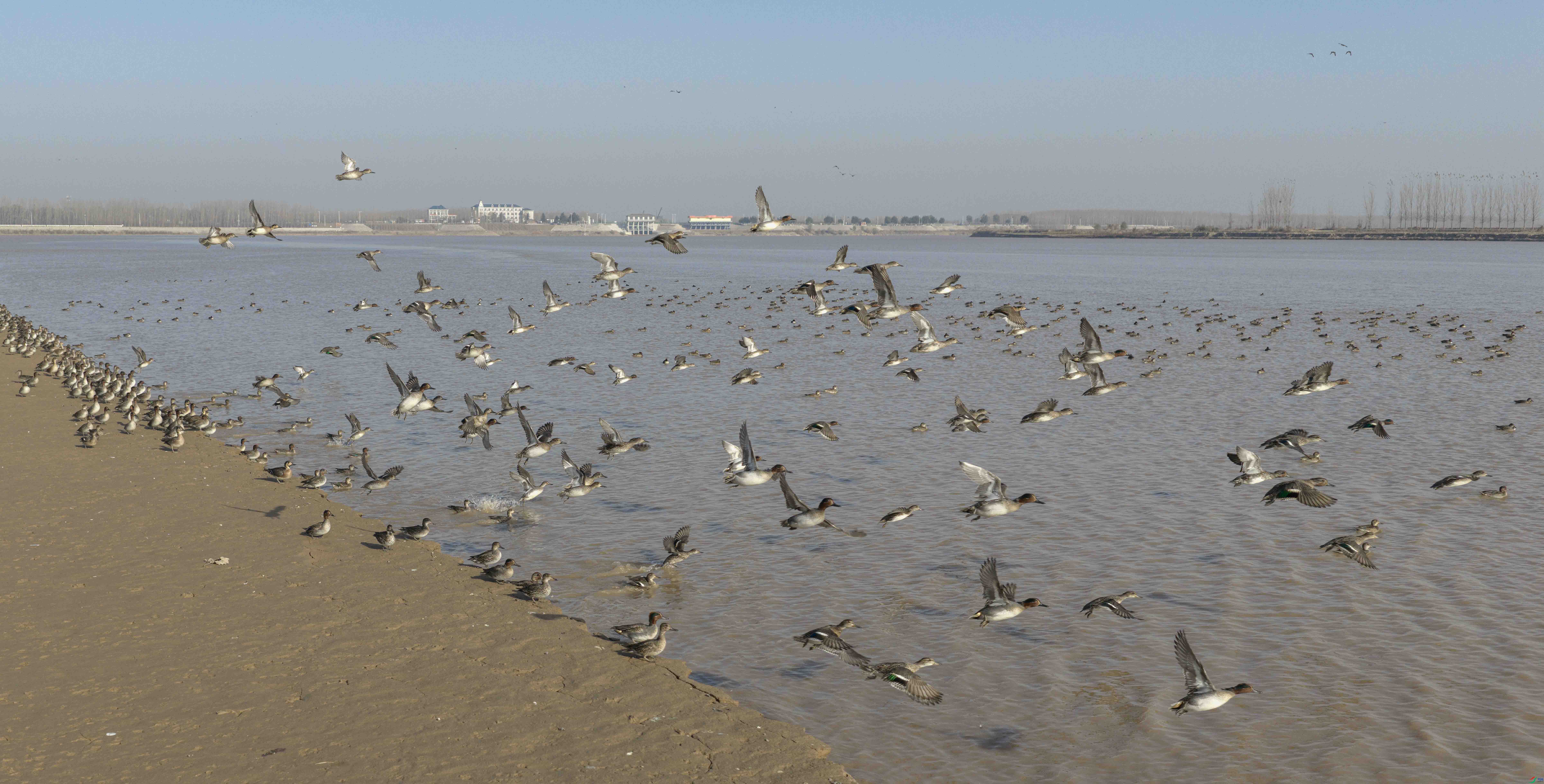 DJI_20251126094237_0089_D ����.jpg