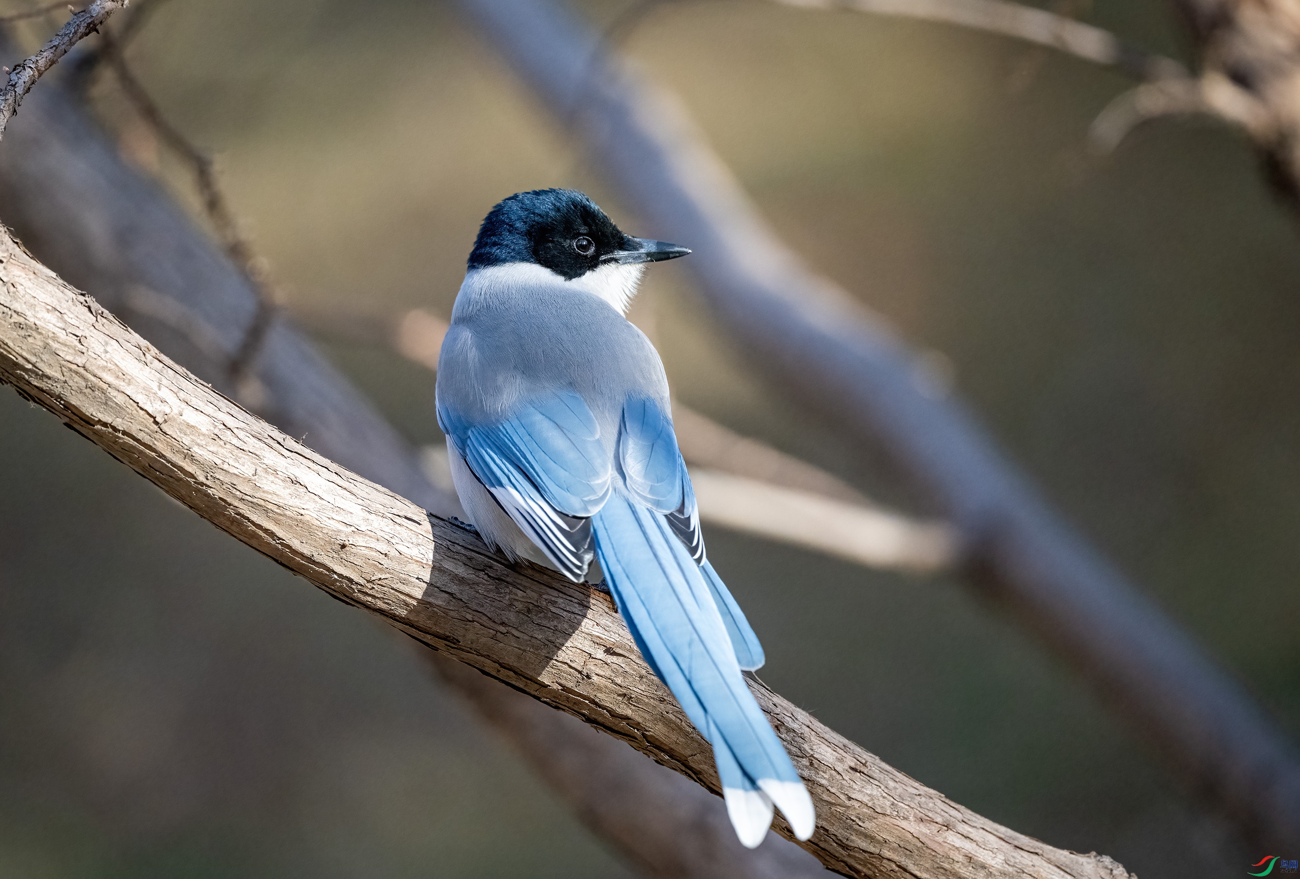 _DSC3509-.jpg