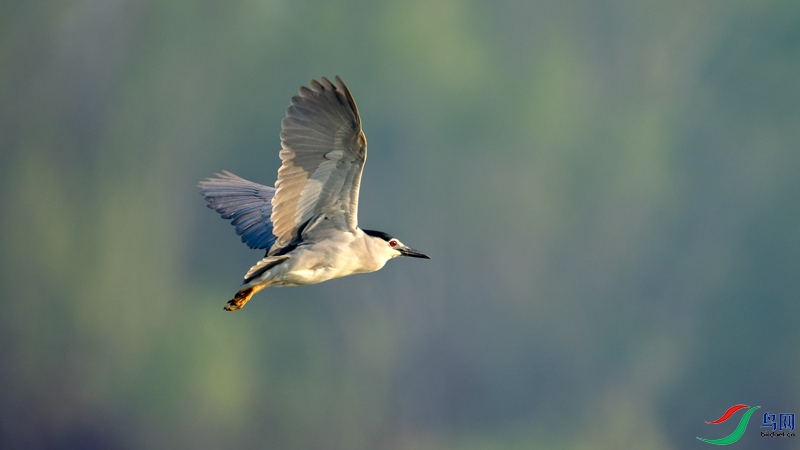 DSC_5135.jpg