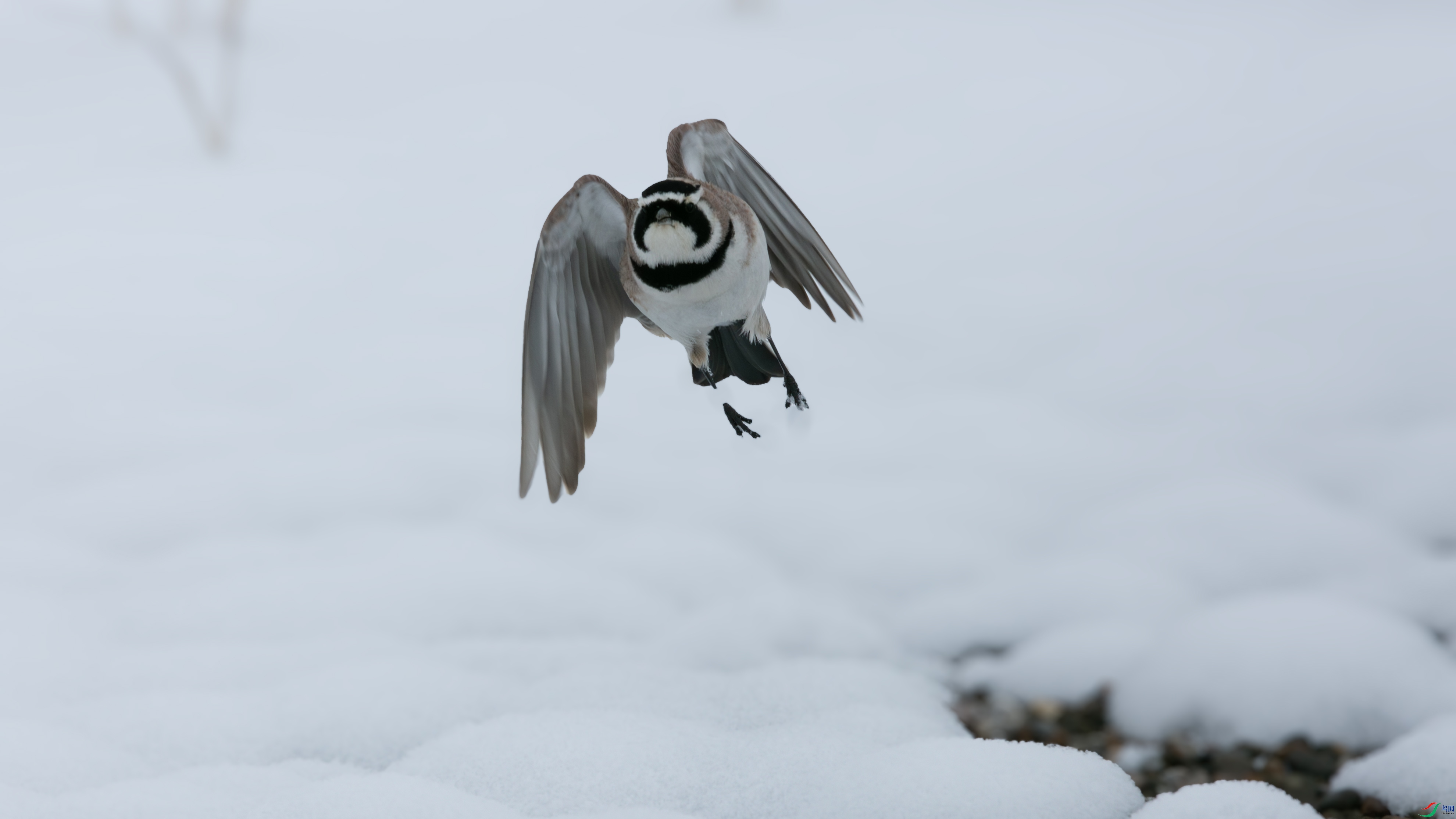 X39A4995 ����.jpg