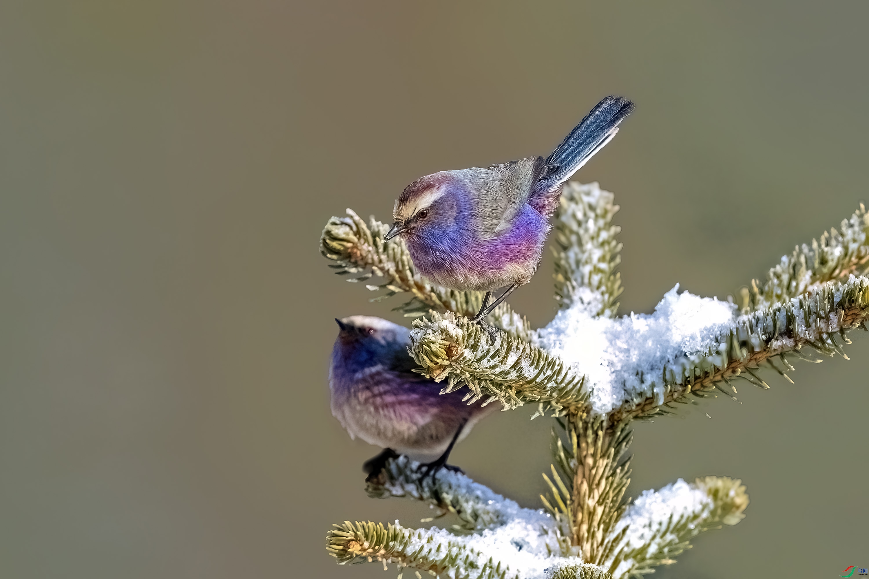 DSC_8475.jpg