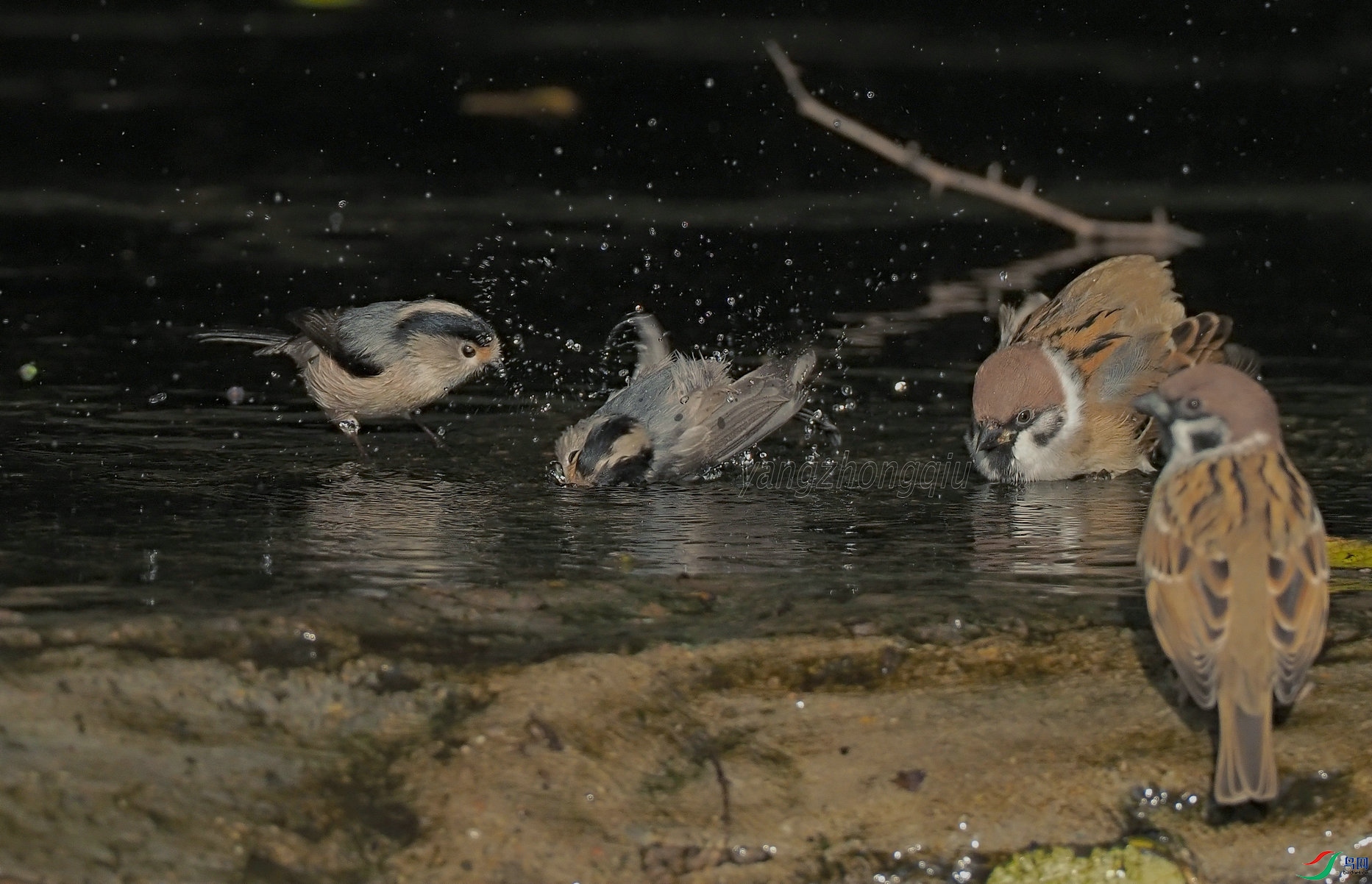 1 �ˣ����ã����ǿɲ����ڿ����ӵ�������ǰ��ͨˮ��