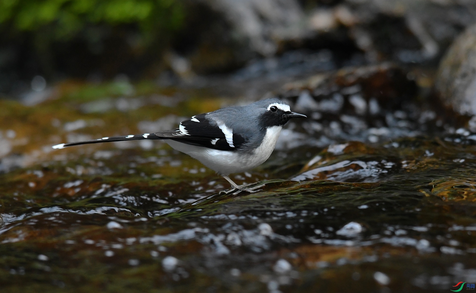 DSC_3043.jpg