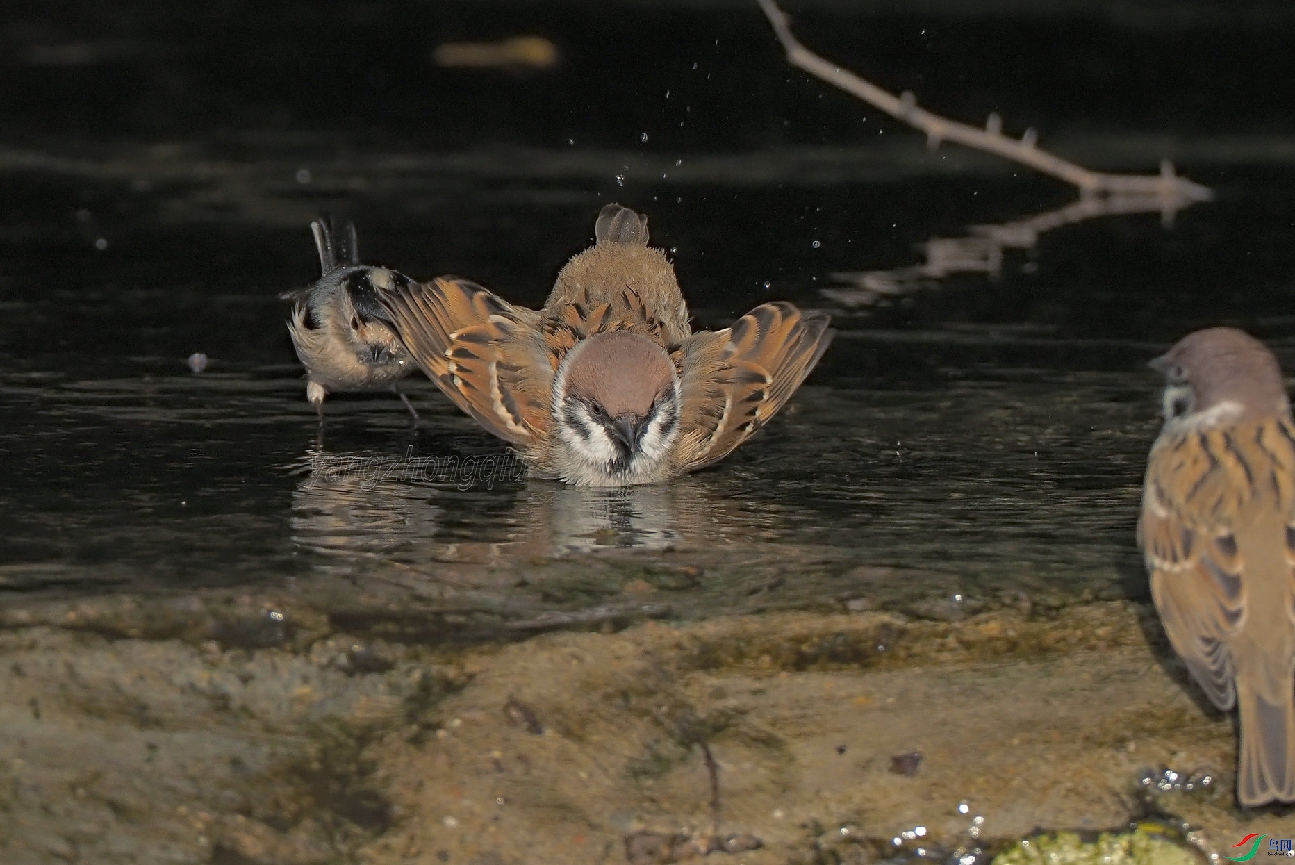 5 �õģ���硣��һ�������ķԸ����ں�����ţ������ᰭ�¡�