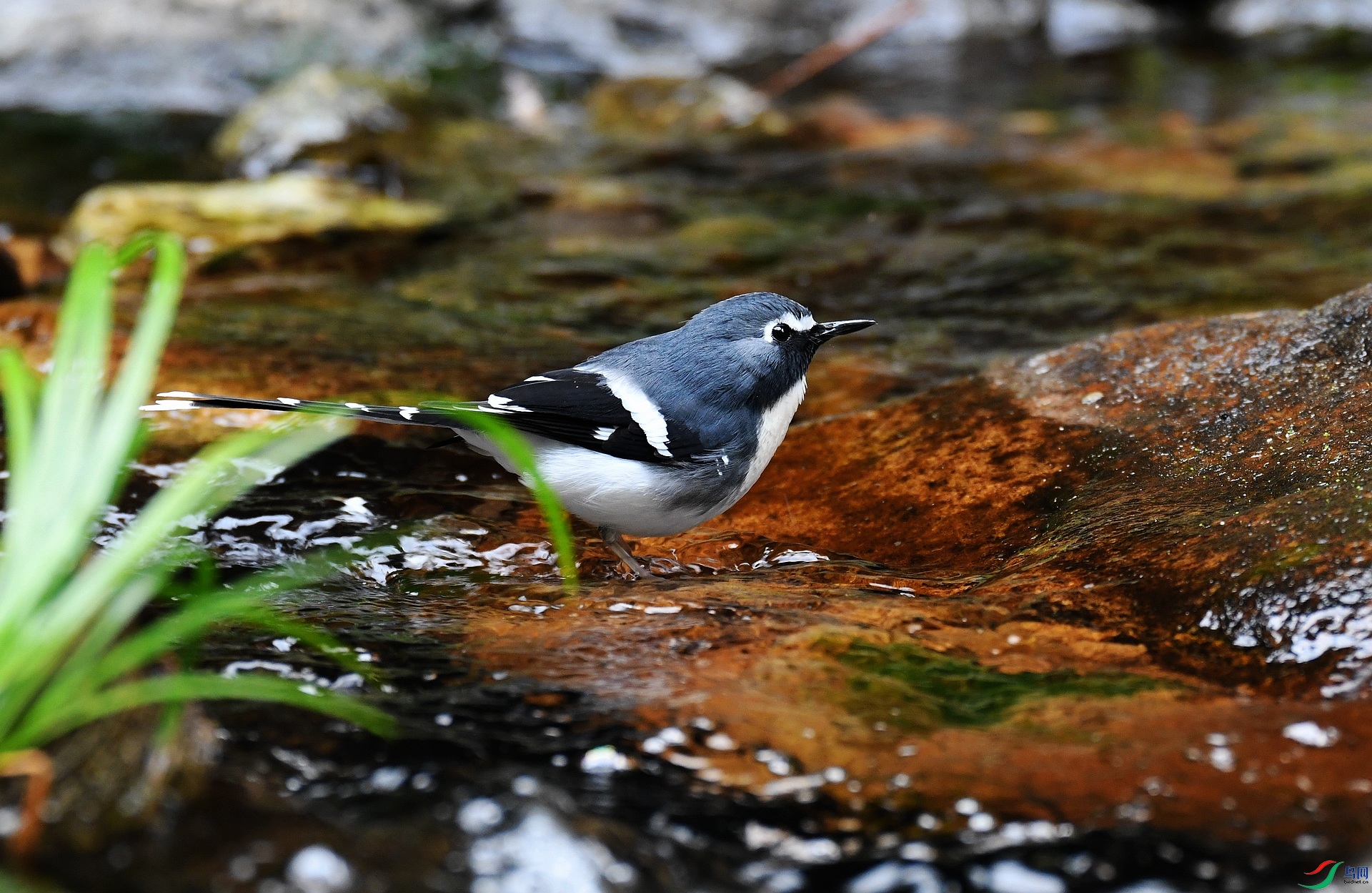 DSC_3753.jpg
