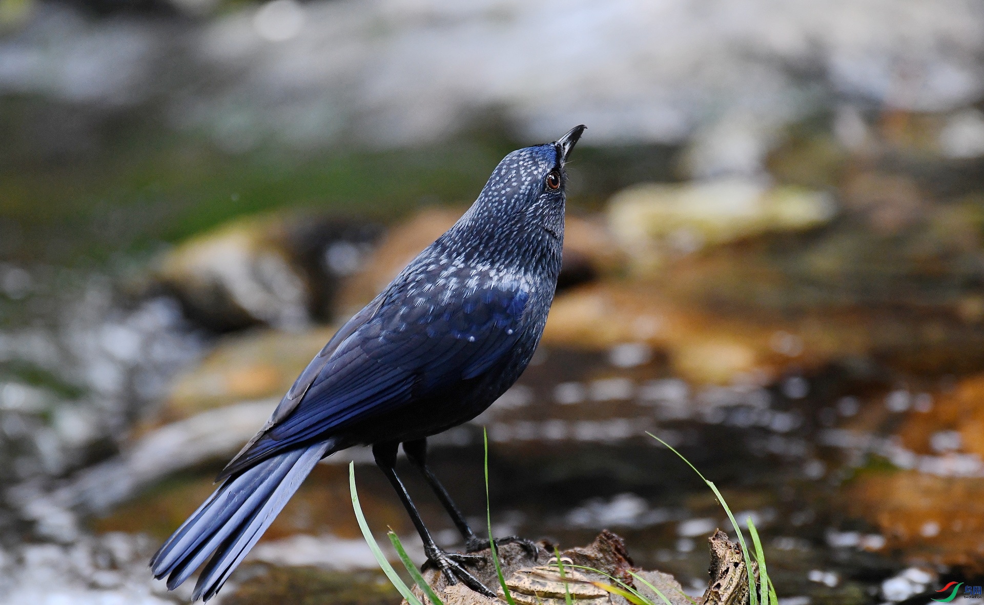 DSC_4057.jpg