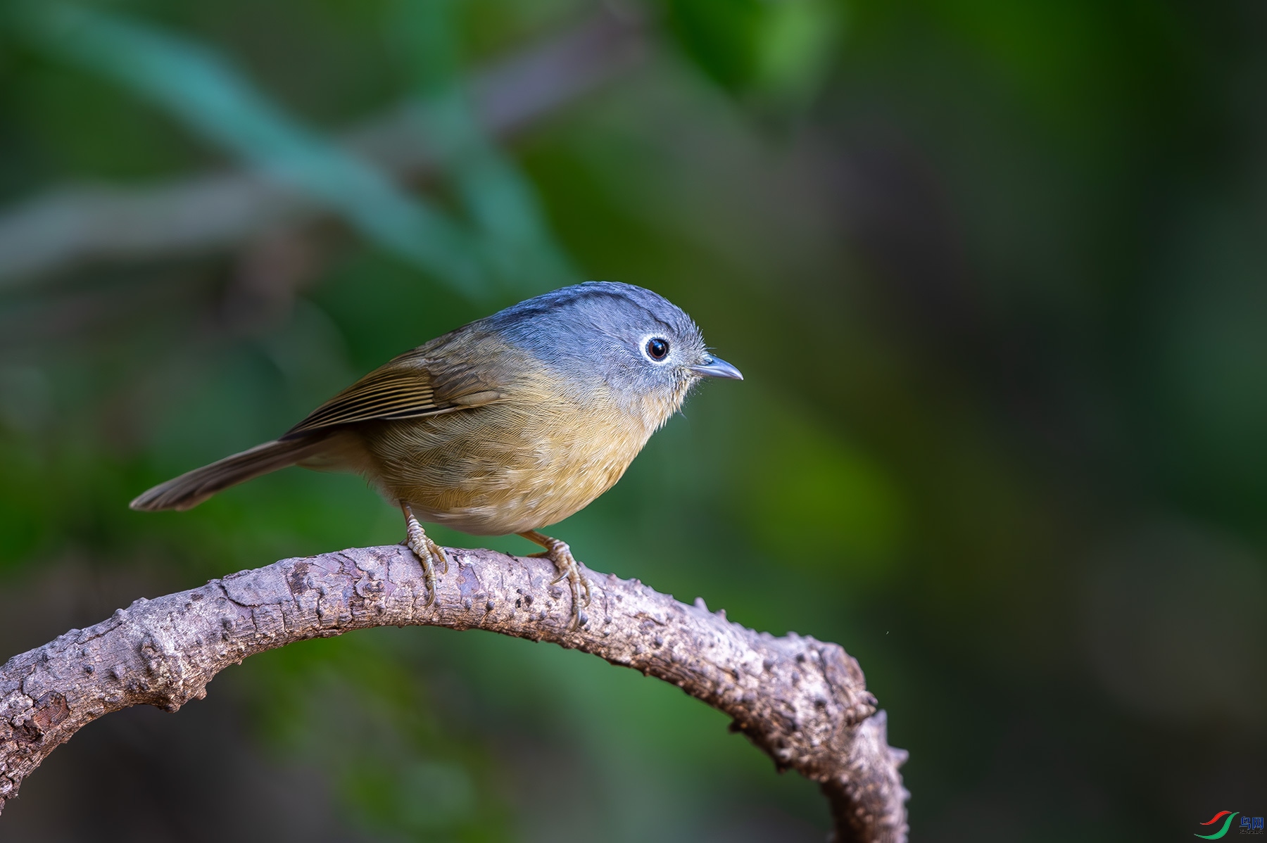 DSC_4176.jpg