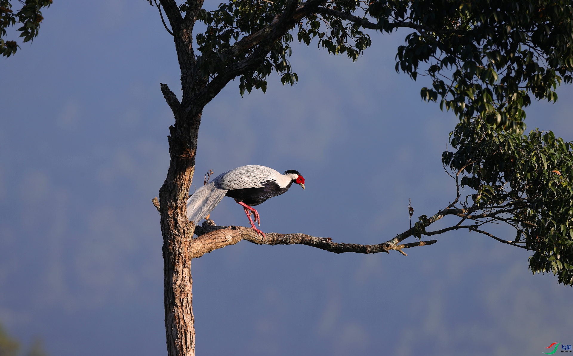 AC1I0008�� - ����.JPG