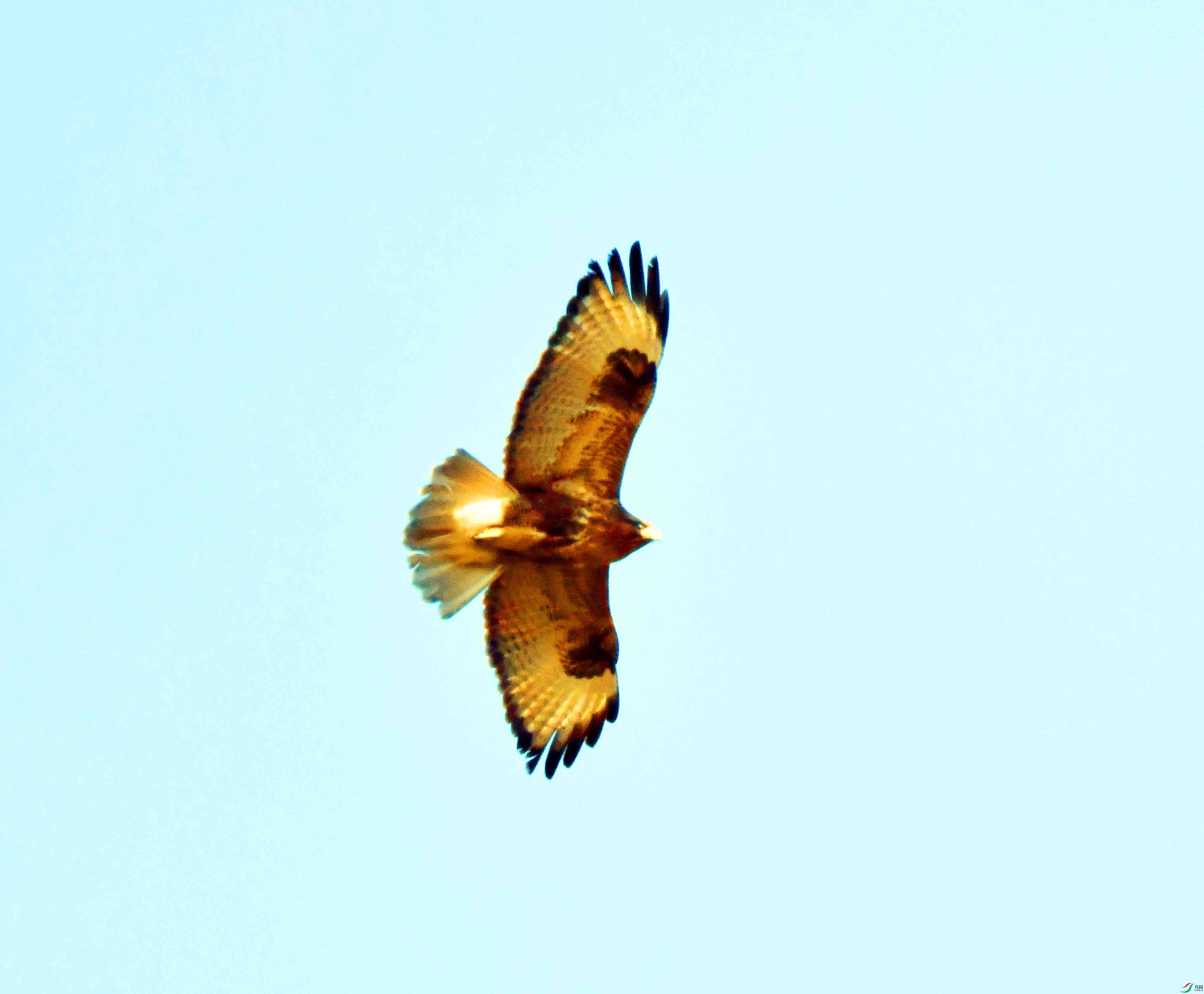 DSC_4508.JPG