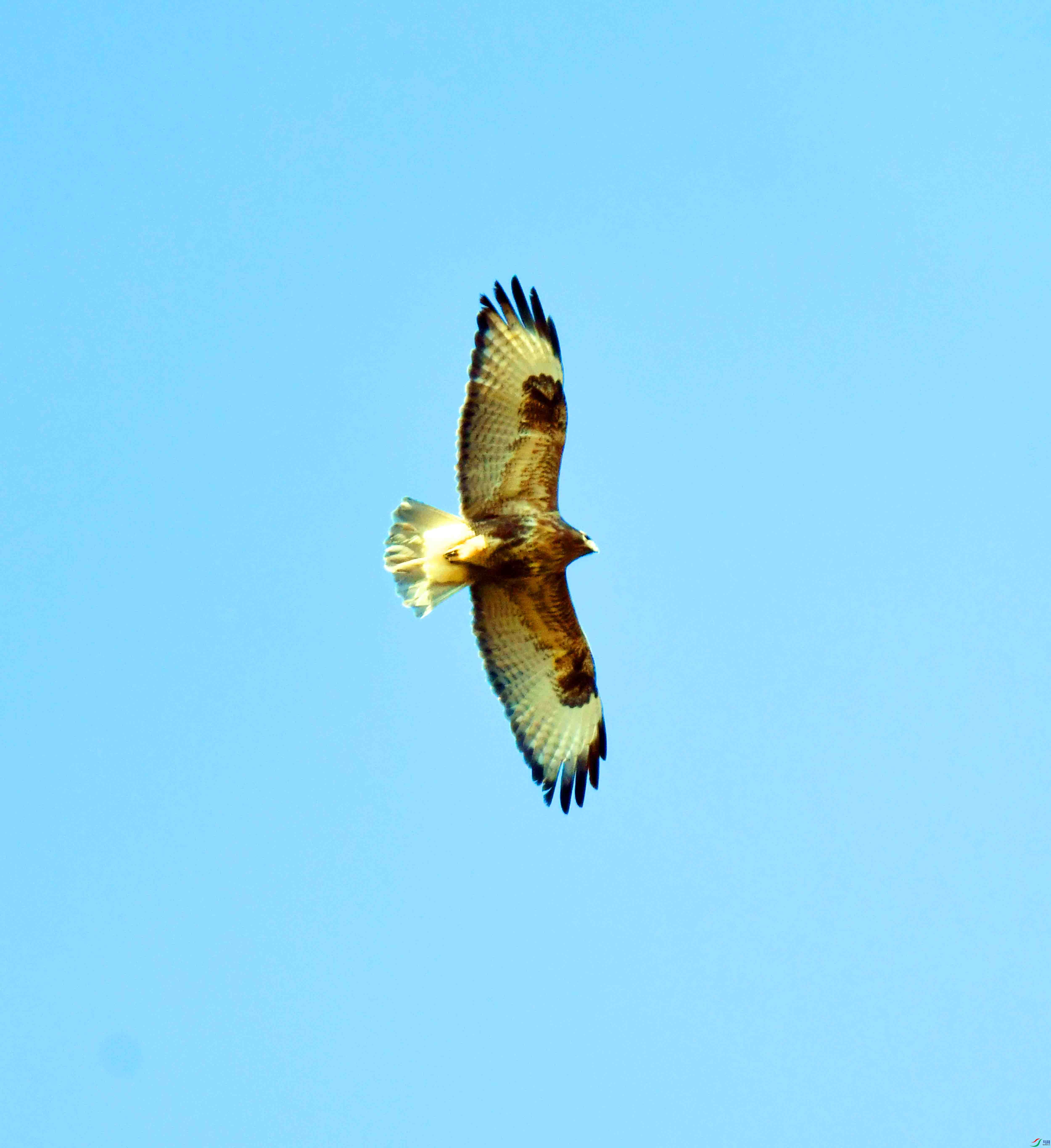 DSC_4522.JPG
