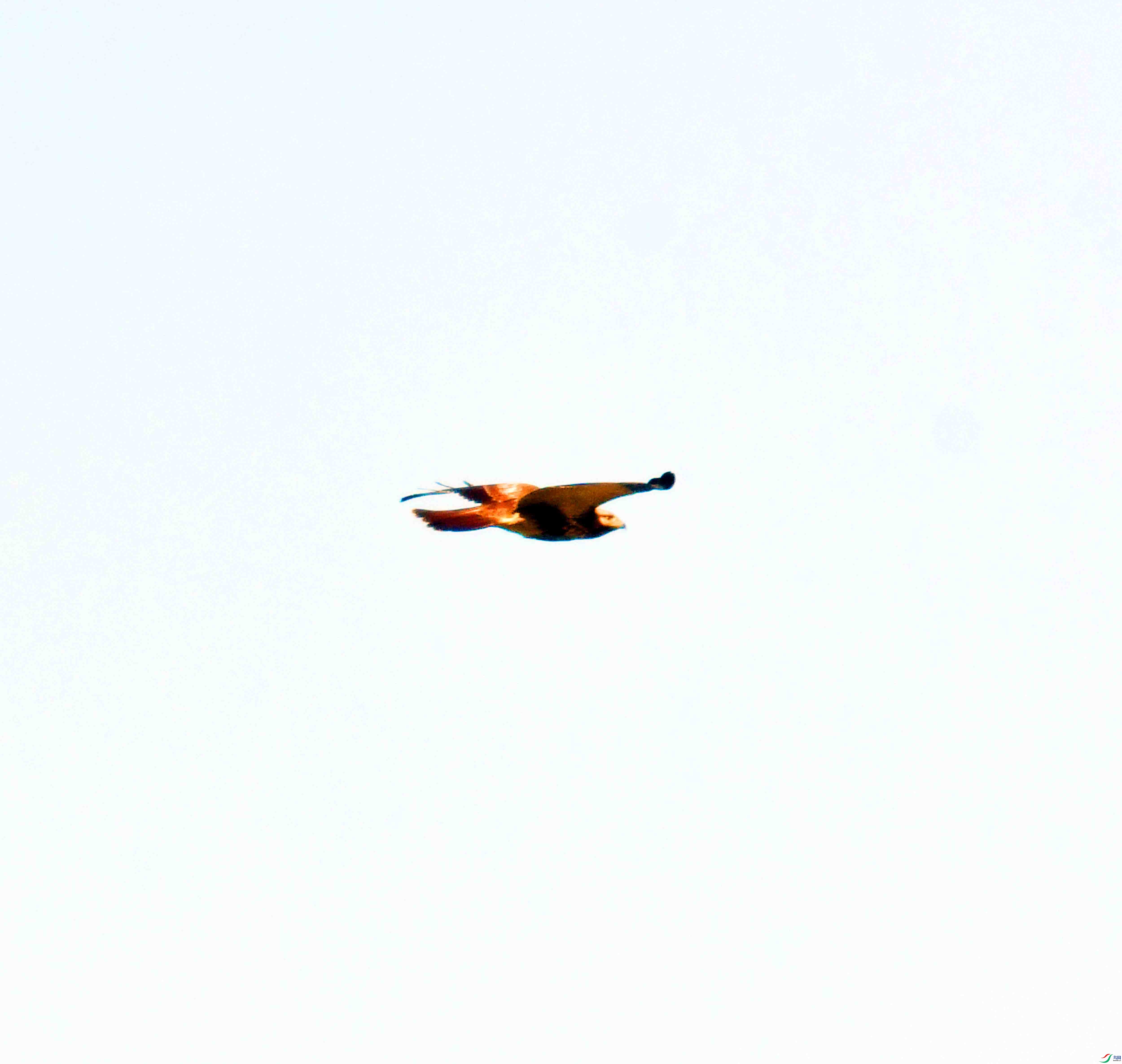 DSC_5786.JPG