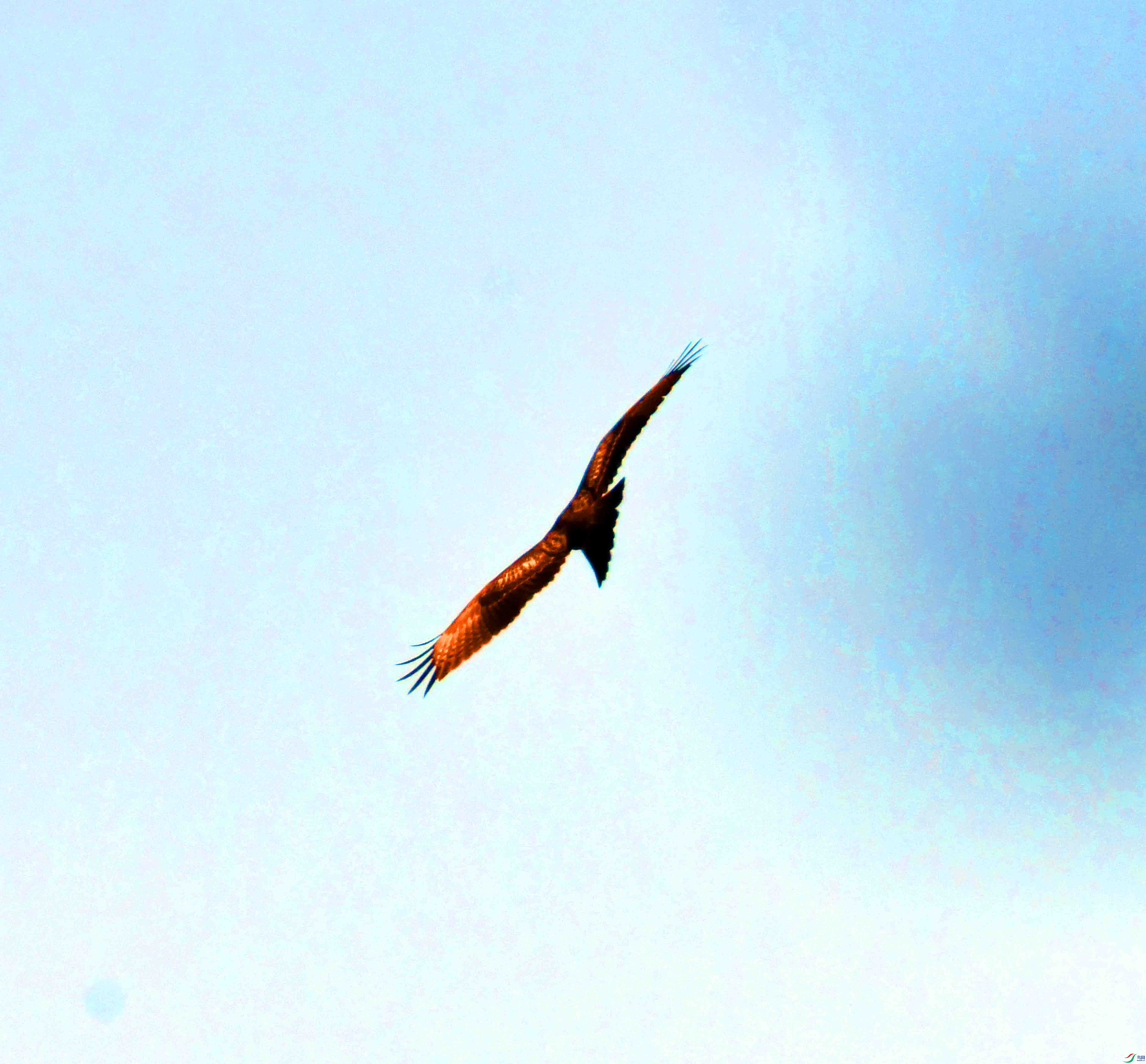 DSC_5789.JPG