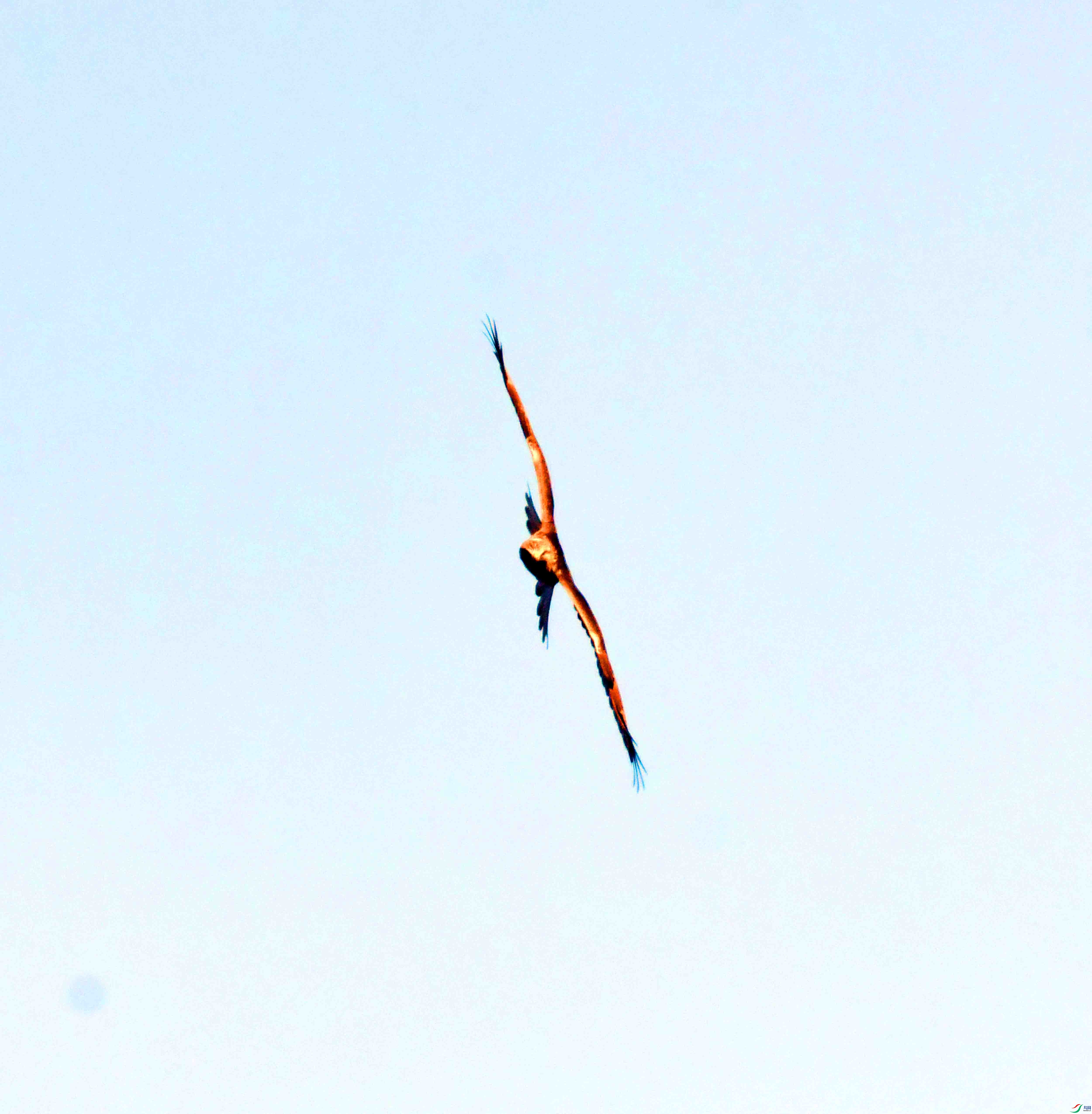 DSC_5799.JPG