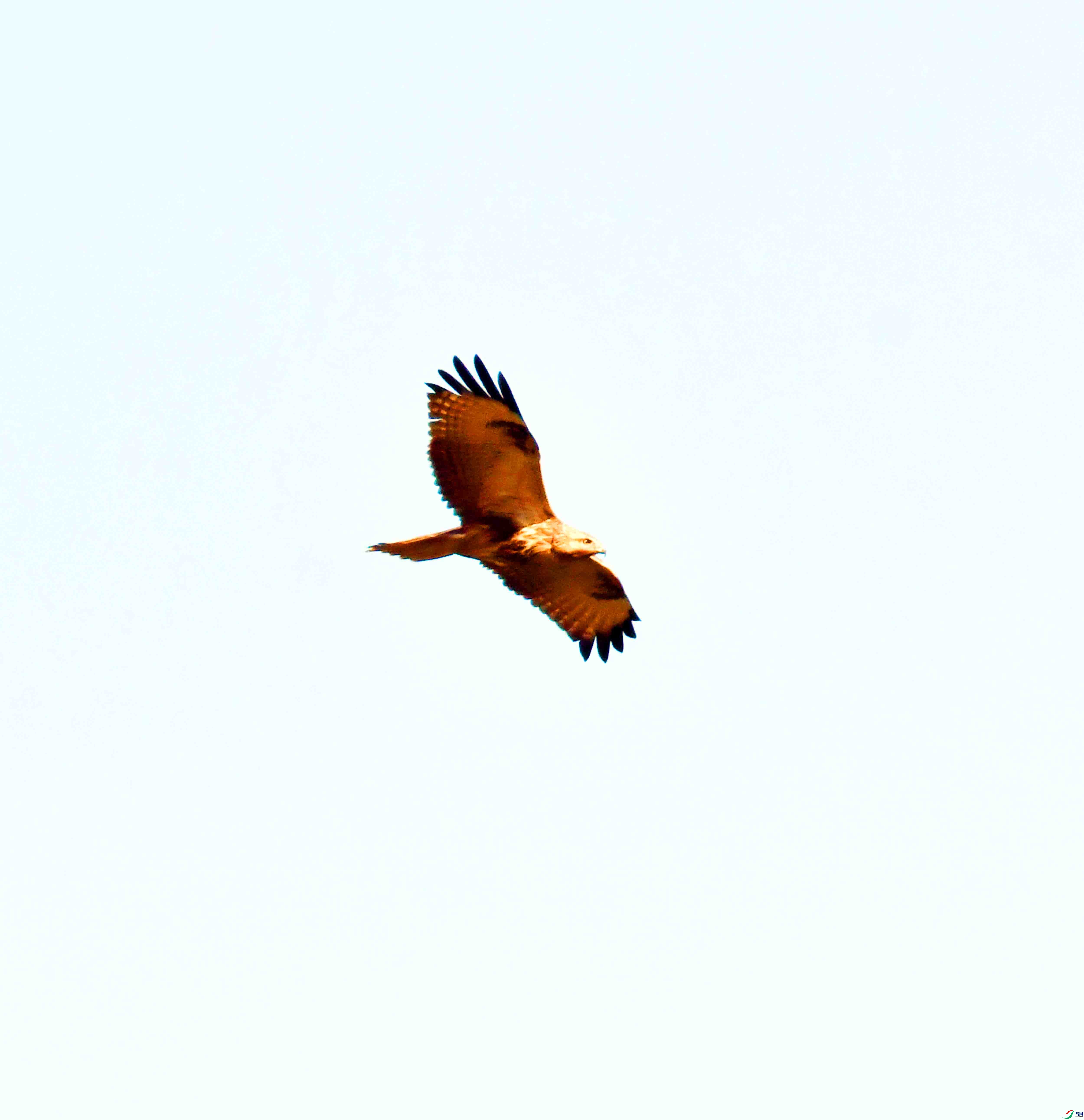 DSC_5802.JPG
