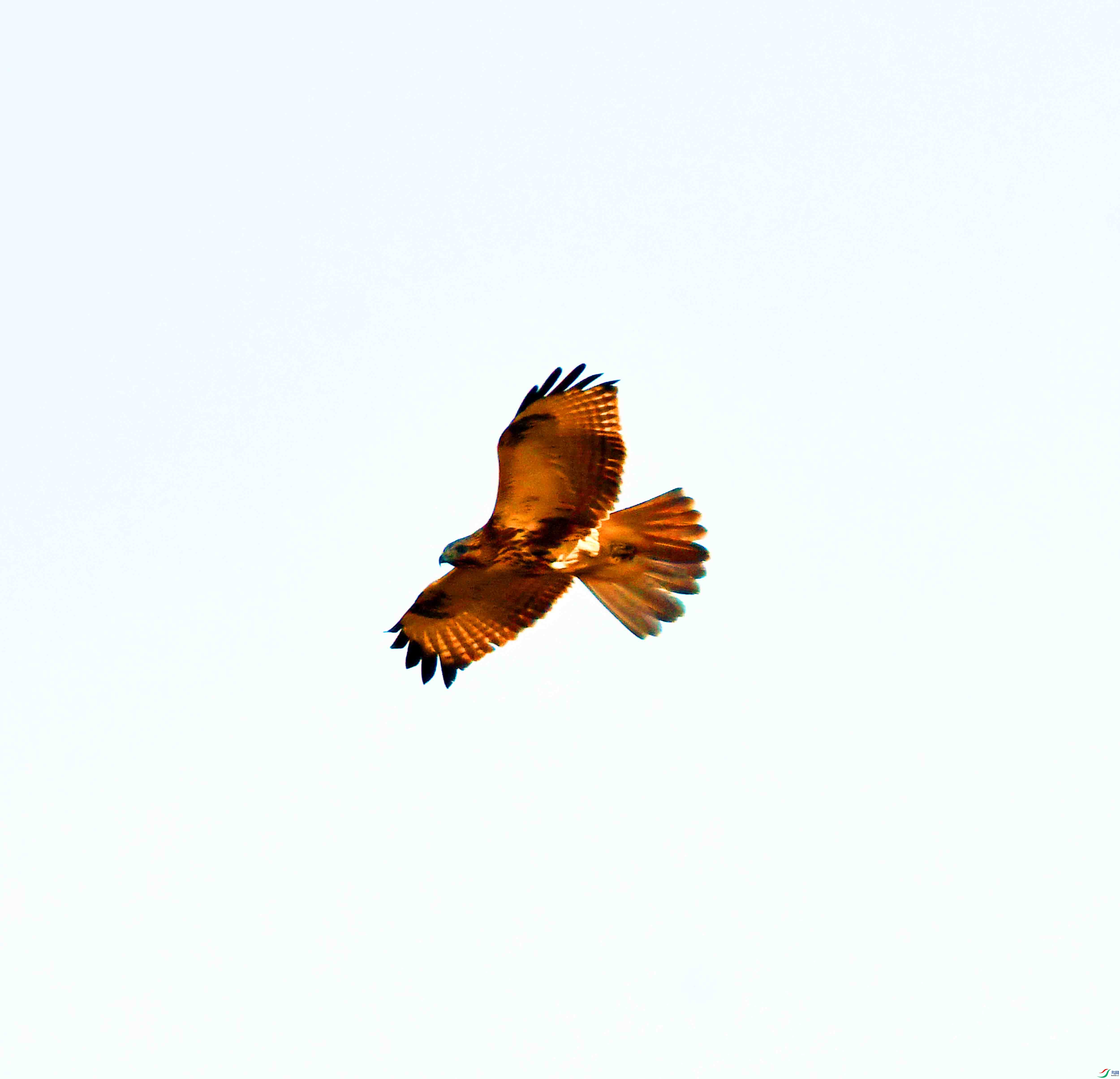 DSC_5839.JPG
