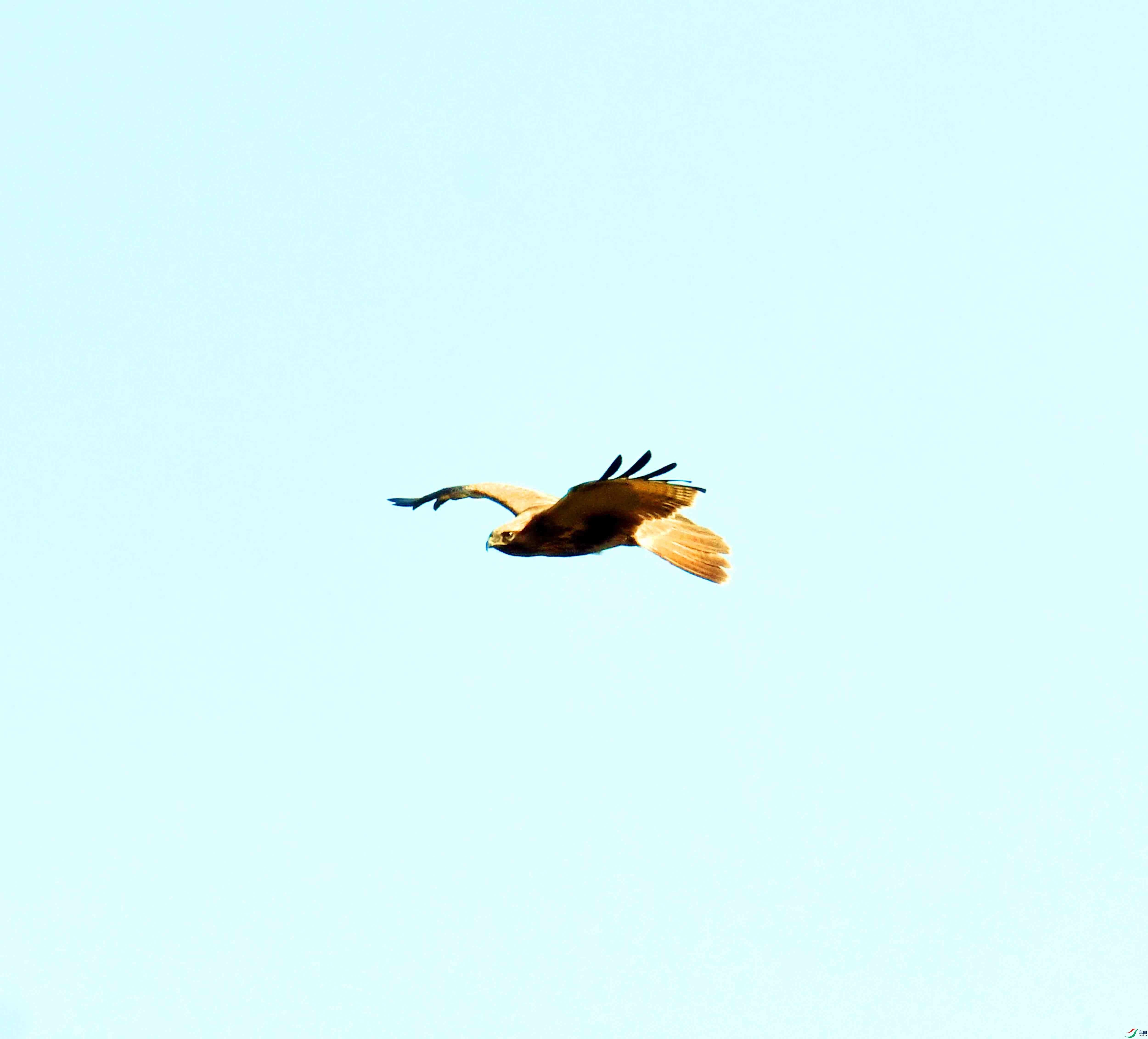DSC_5821.JPG