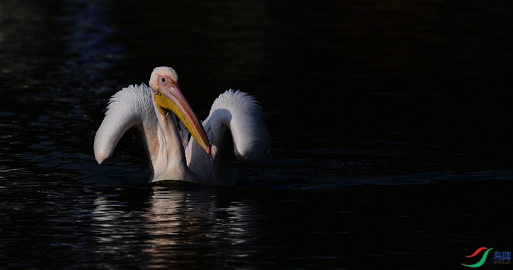 DSC_2521.JPG