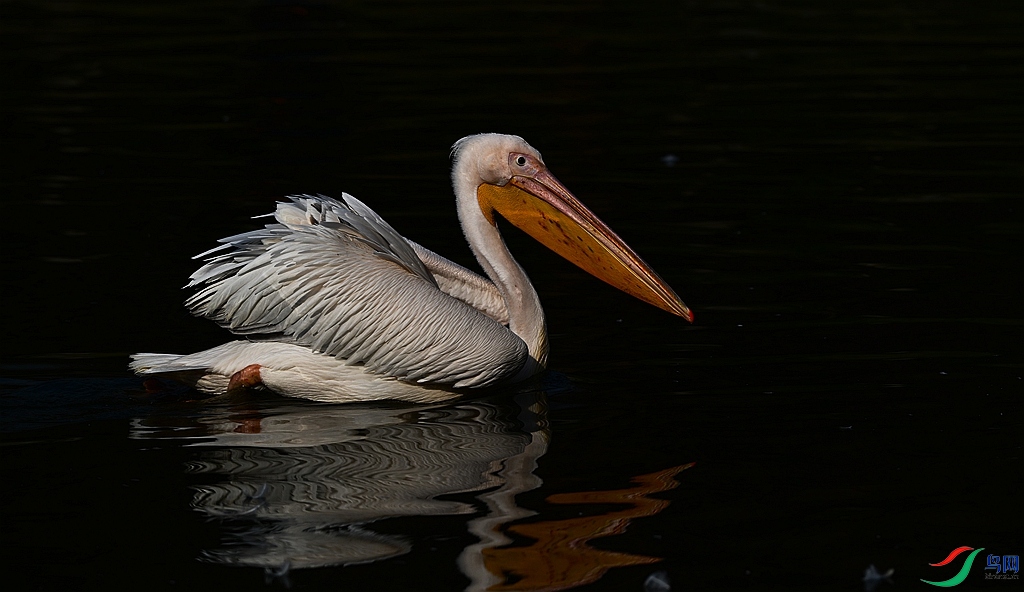 DSC_2827.JPG