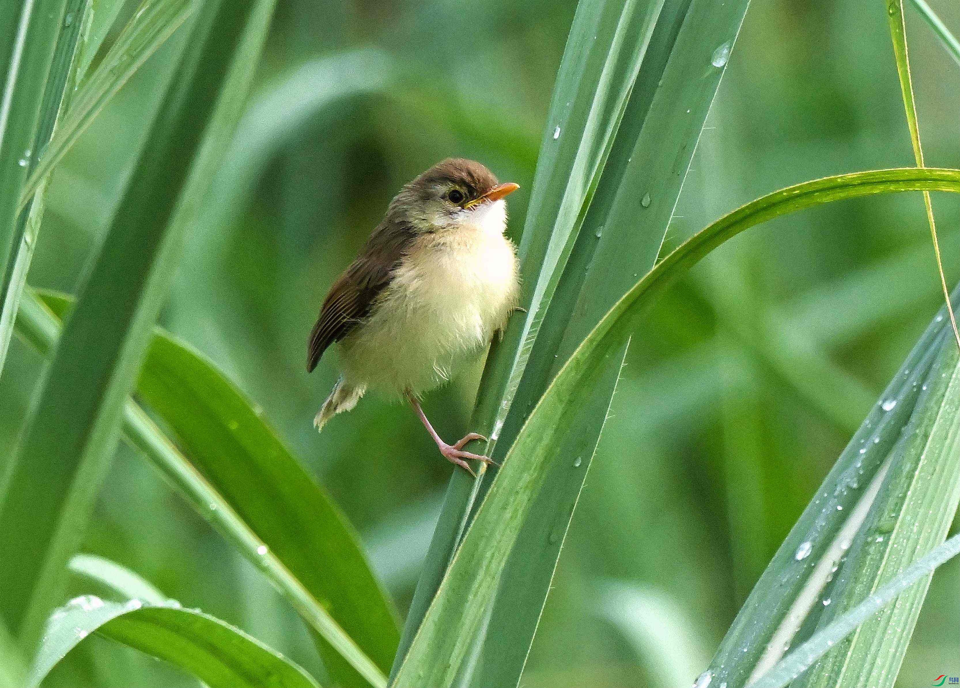 DSC_7828.JPG