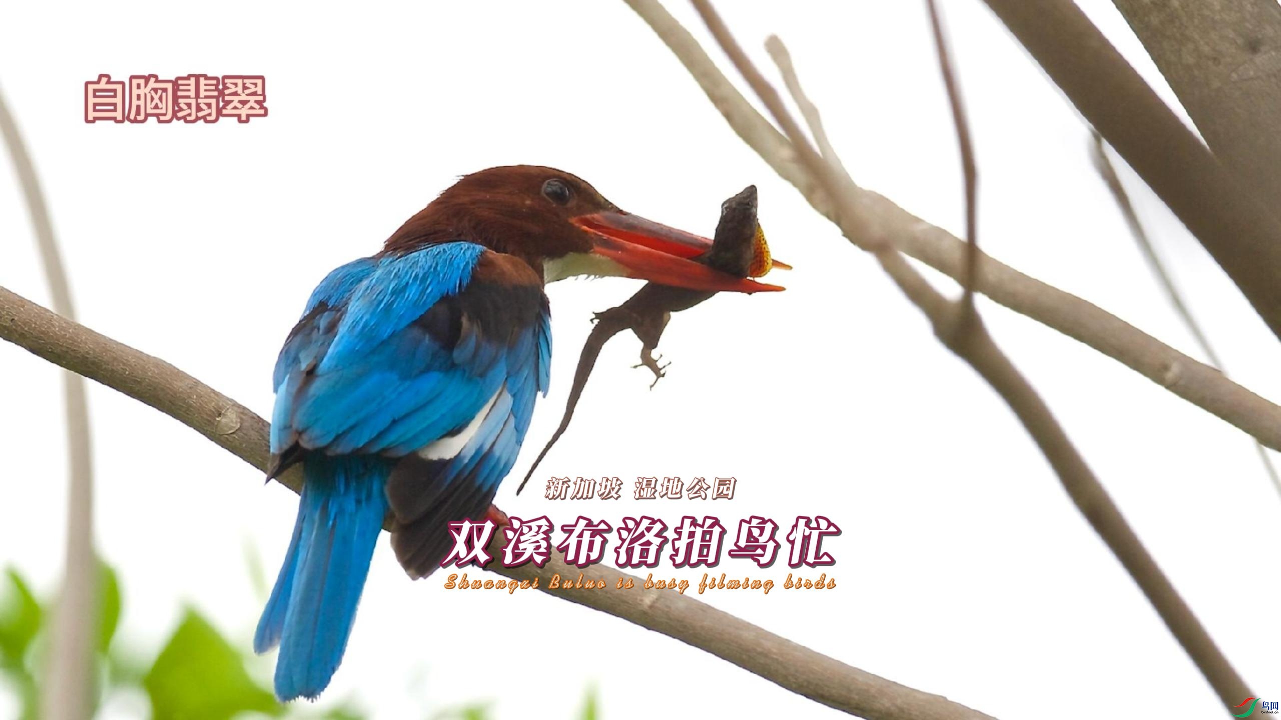 �¼��� ʪ�ع�԰ ˫Ϫ��������æ-����.jpg