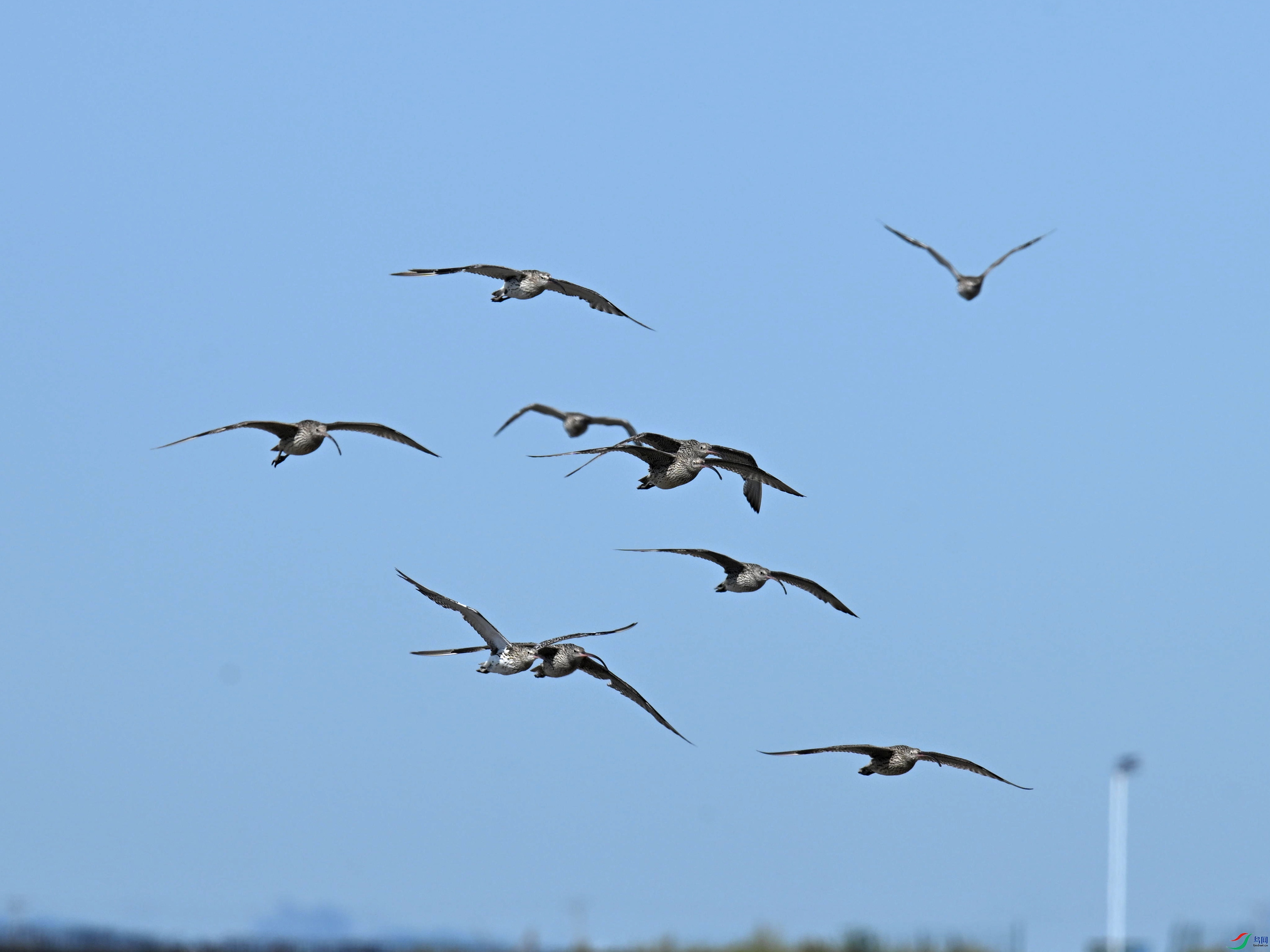 ����� (2).jpg