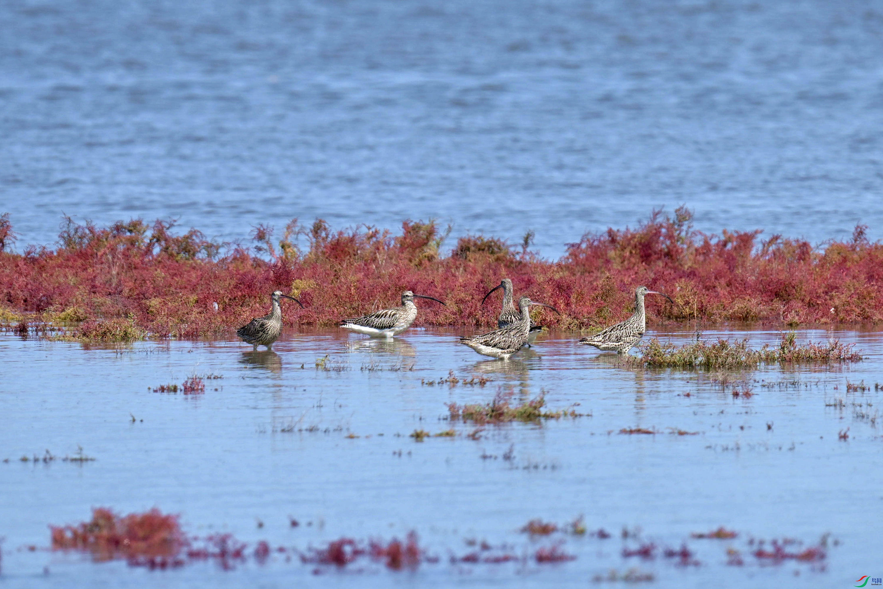 ����� (20).jpg