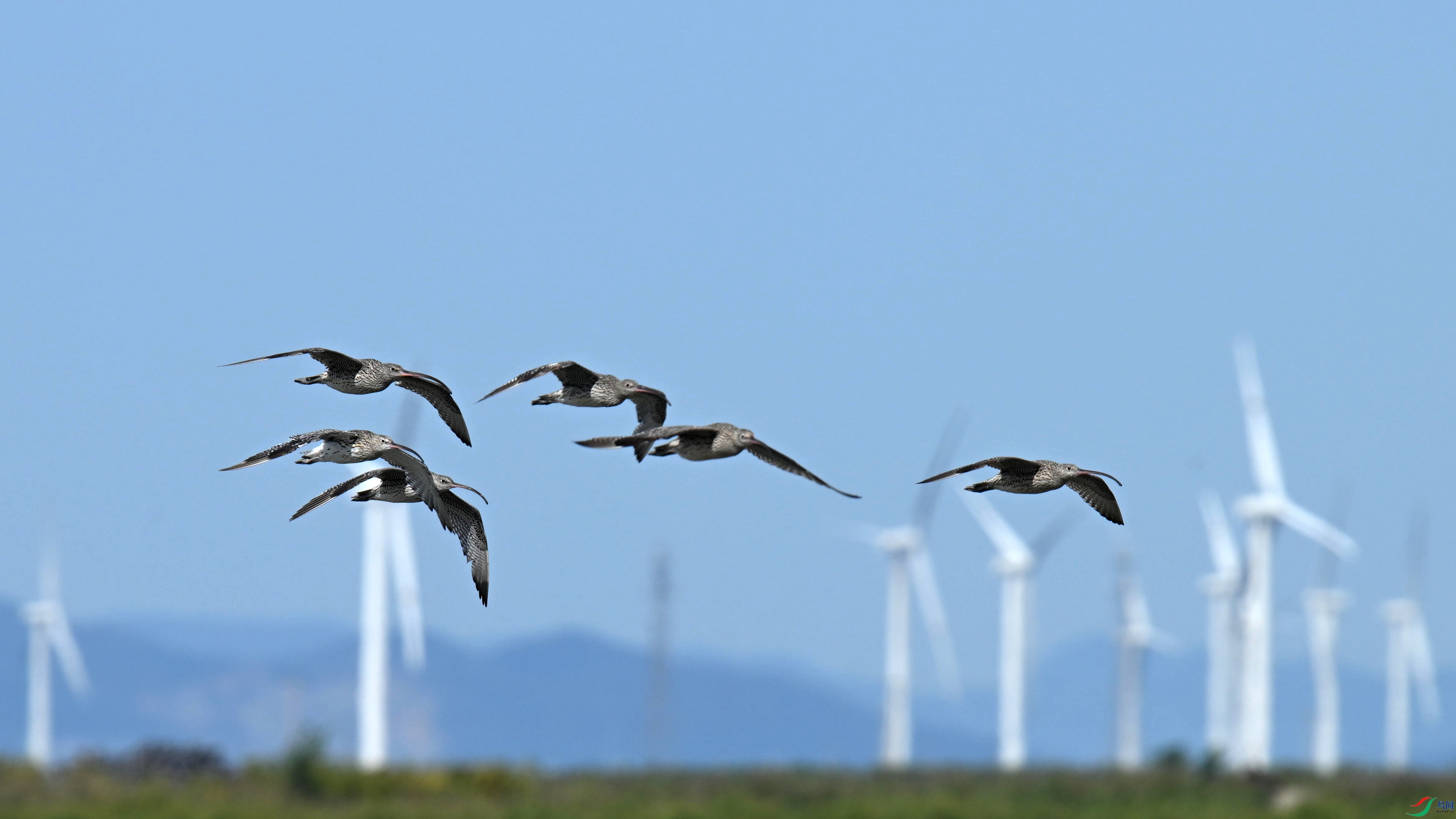 ����� (12).jpg