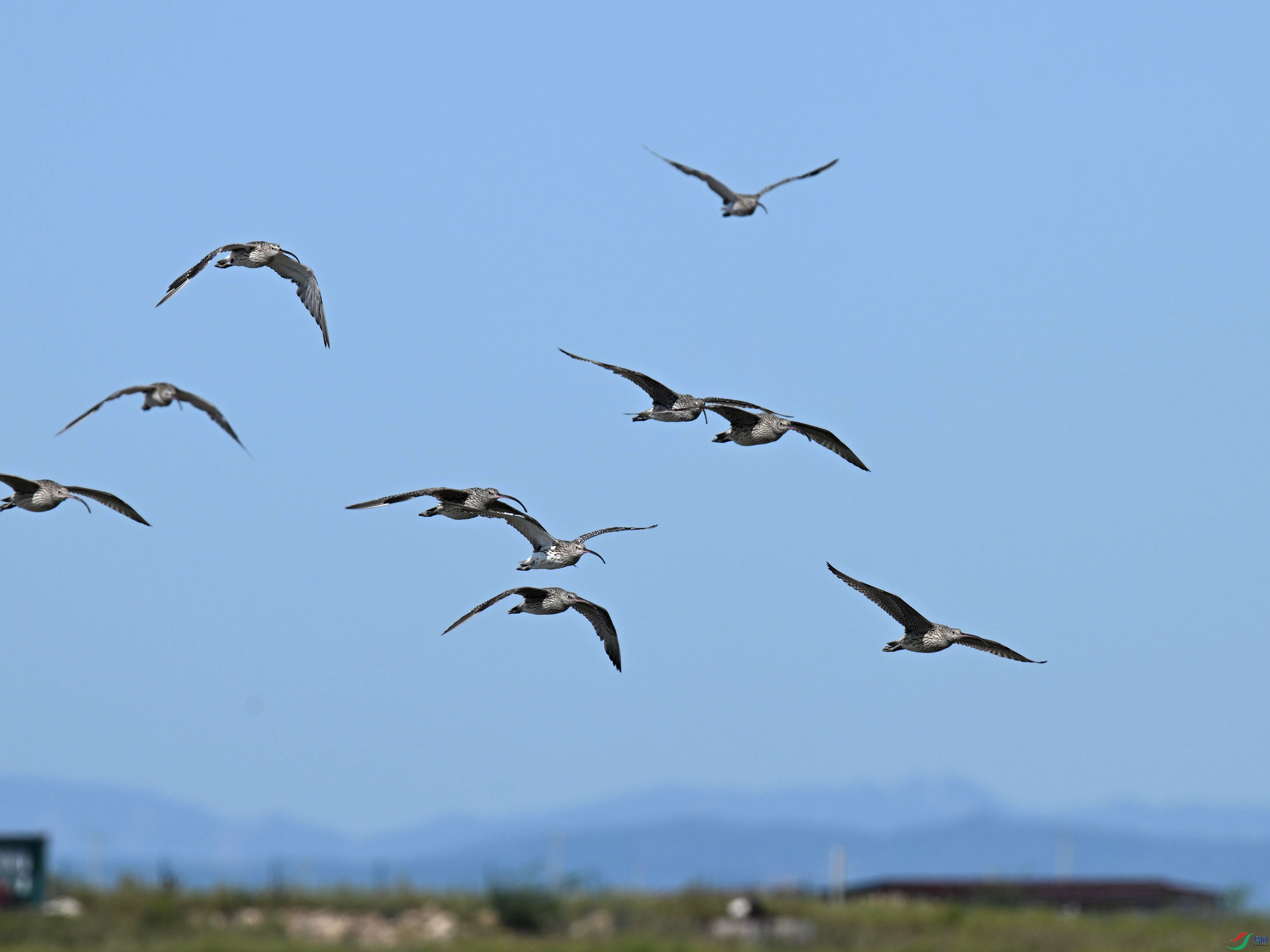 ����� (8).jpg