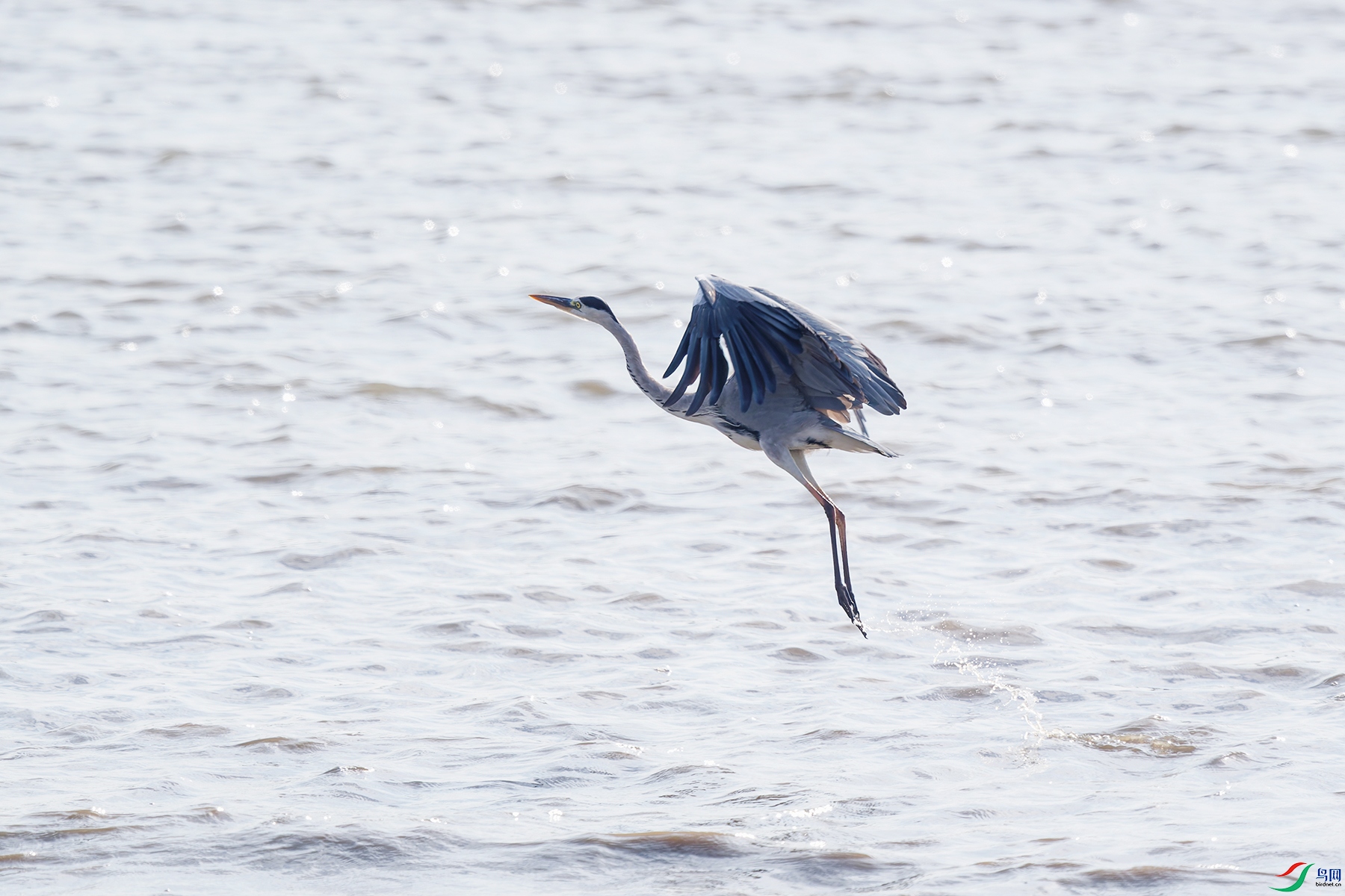 DSC_1477_DxO_DxOa.jpg
