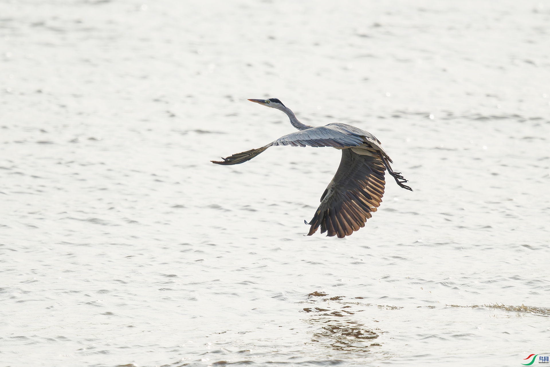 DSC_1420_DxO_DxOa.jpg