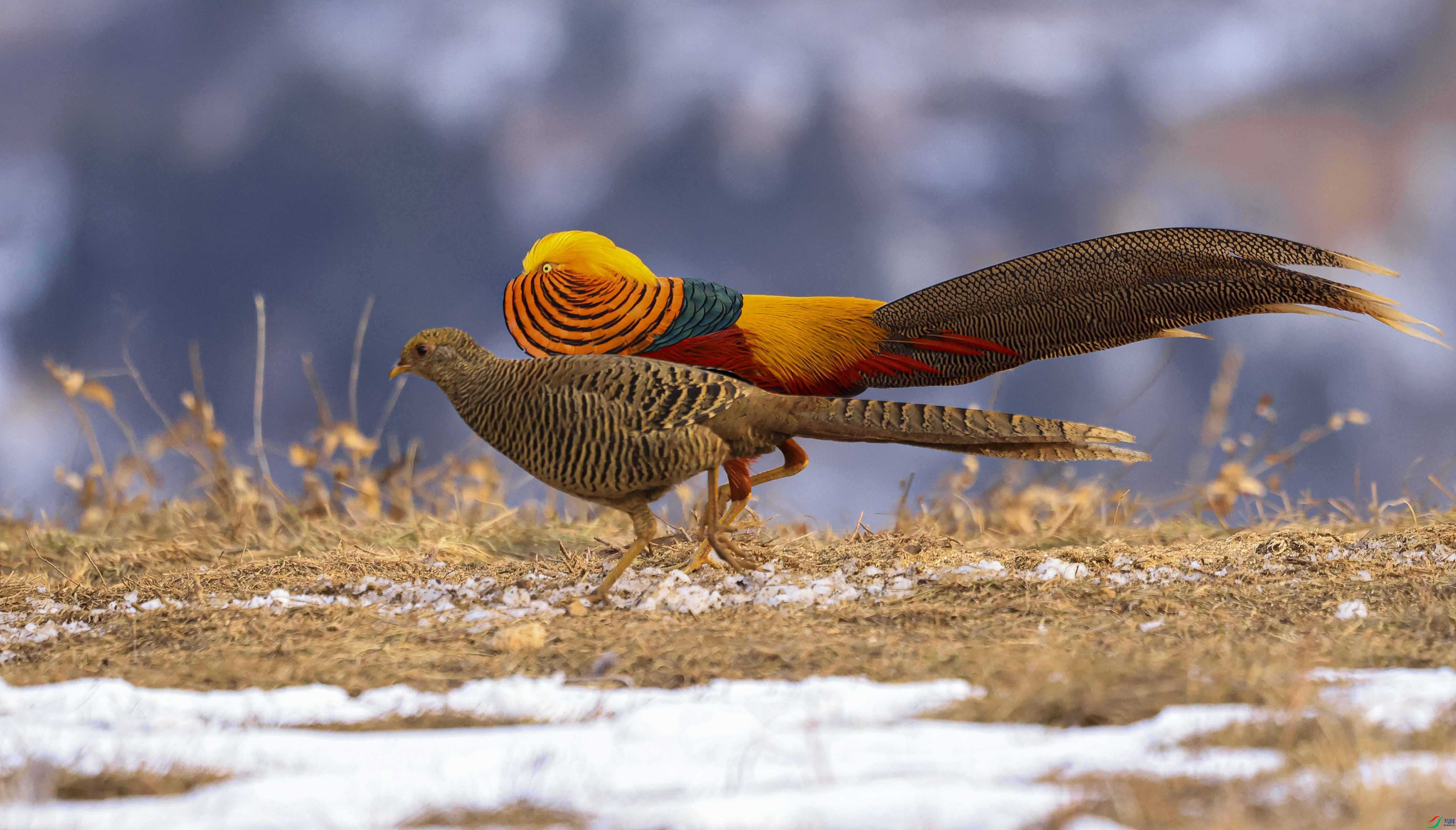 1-�츹����xt ����.jpg