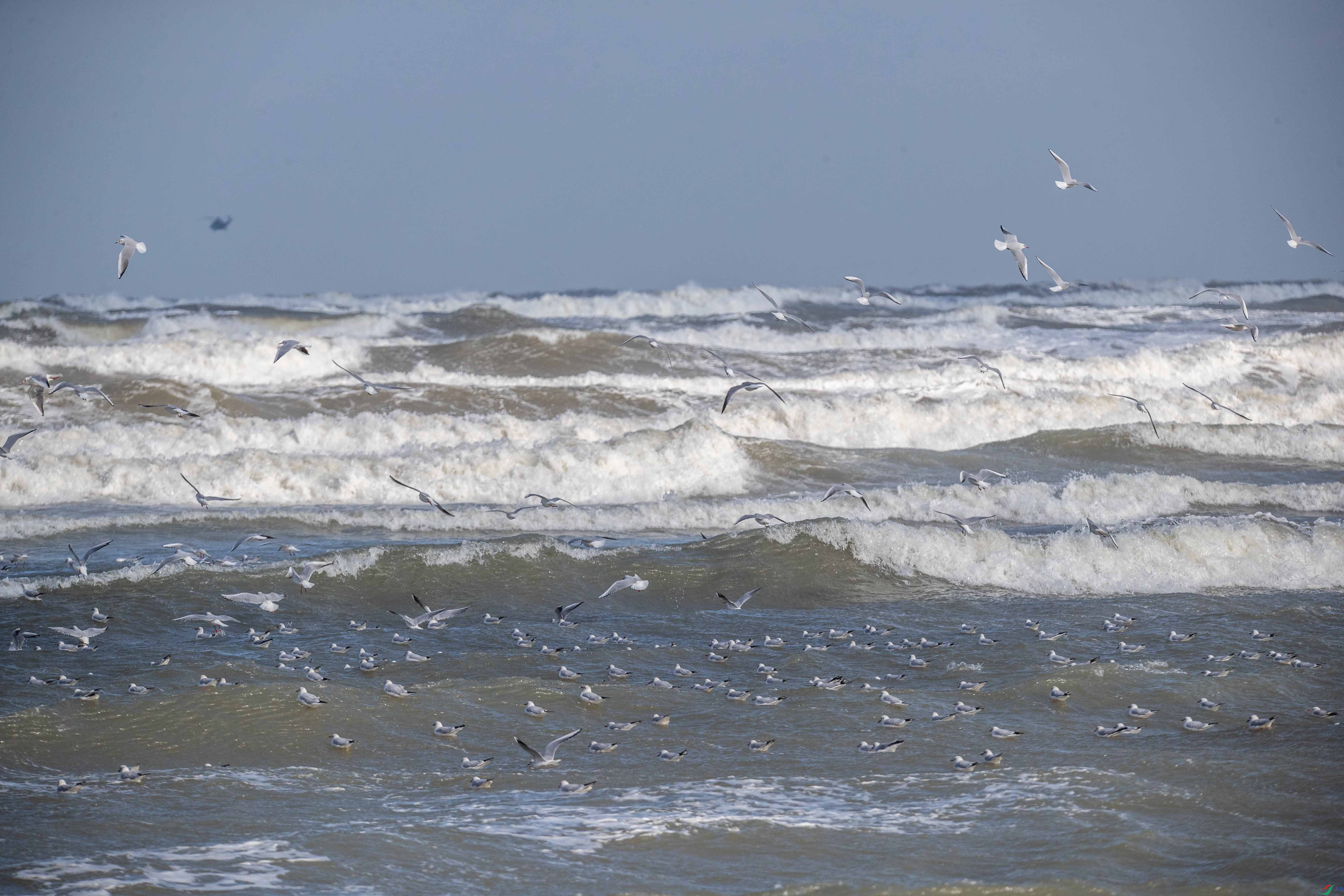 AV6I7693����25=12=12.jpg